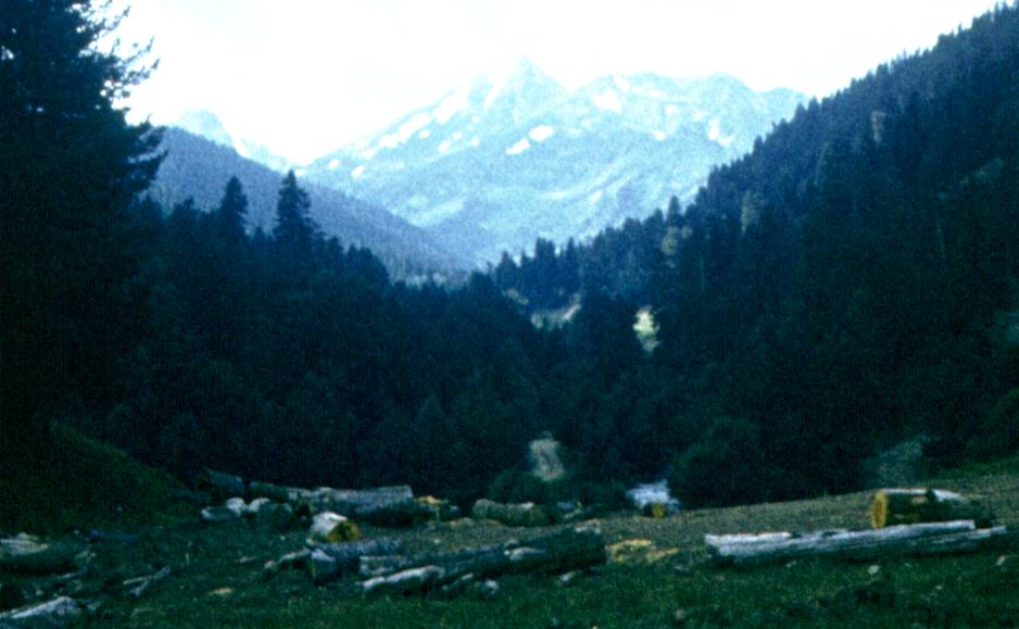 252-1.JPG