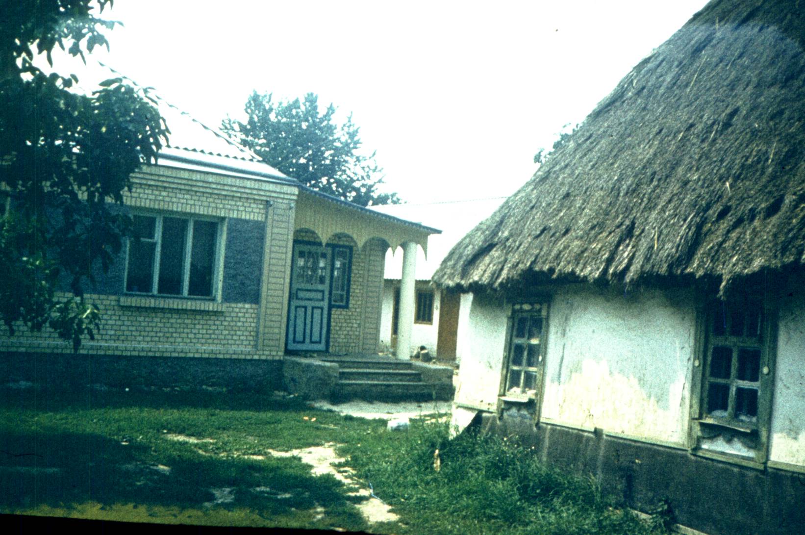 424.JPG