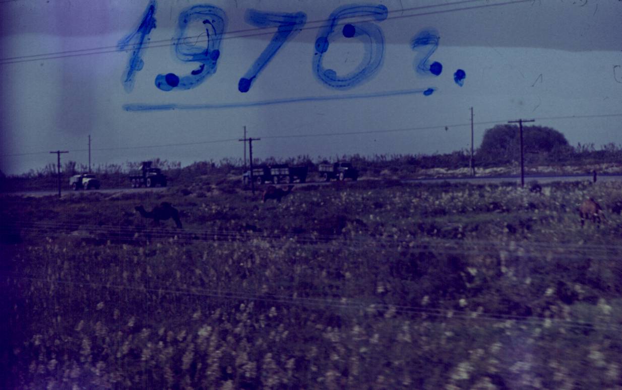 057.JPG