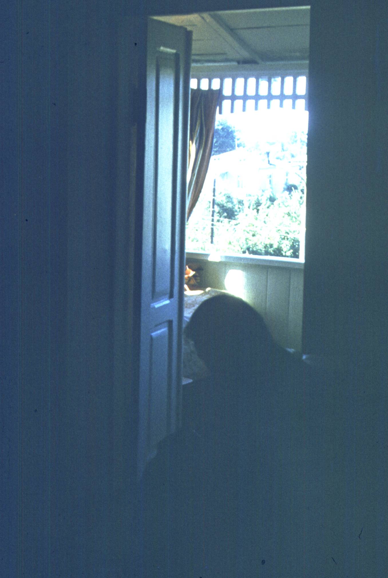 034.jpg