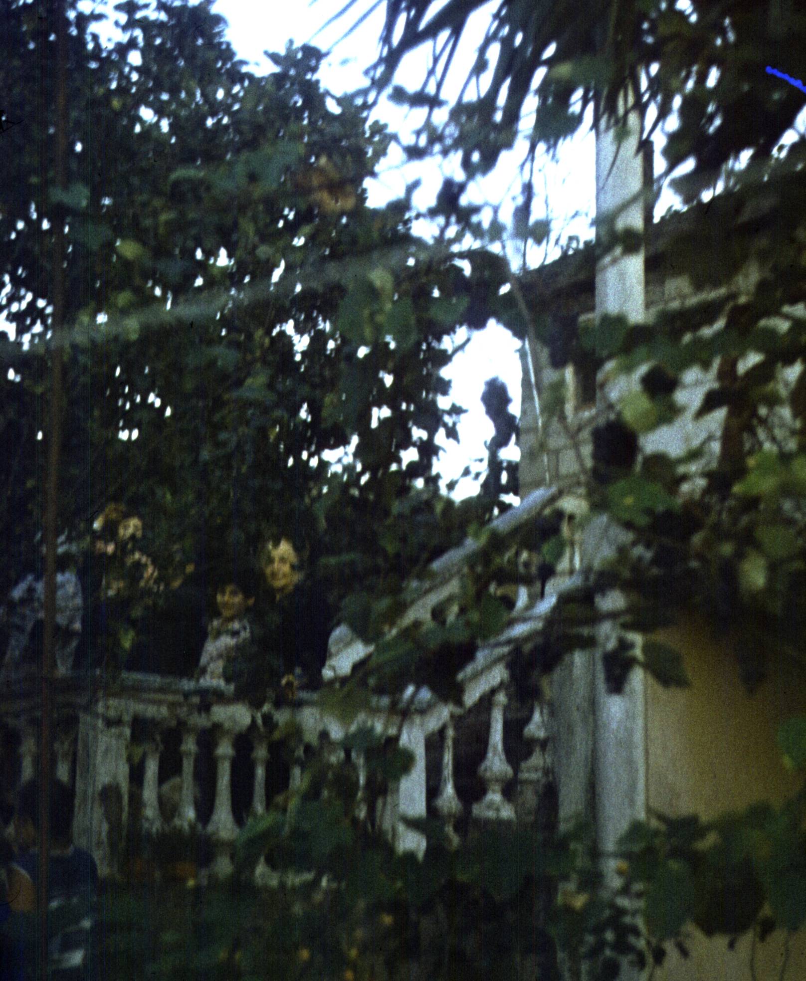038-1.jpg