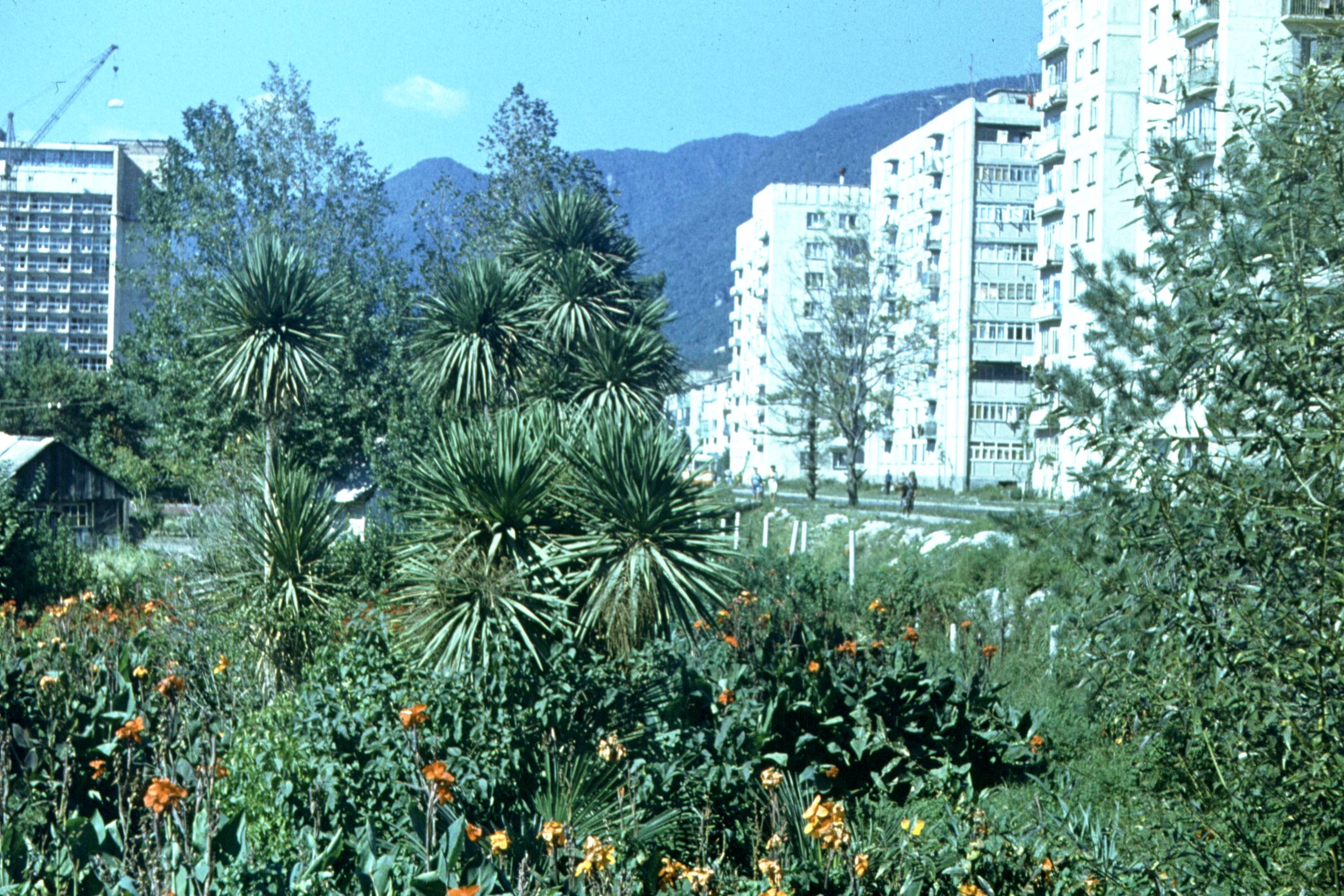 042.jpg