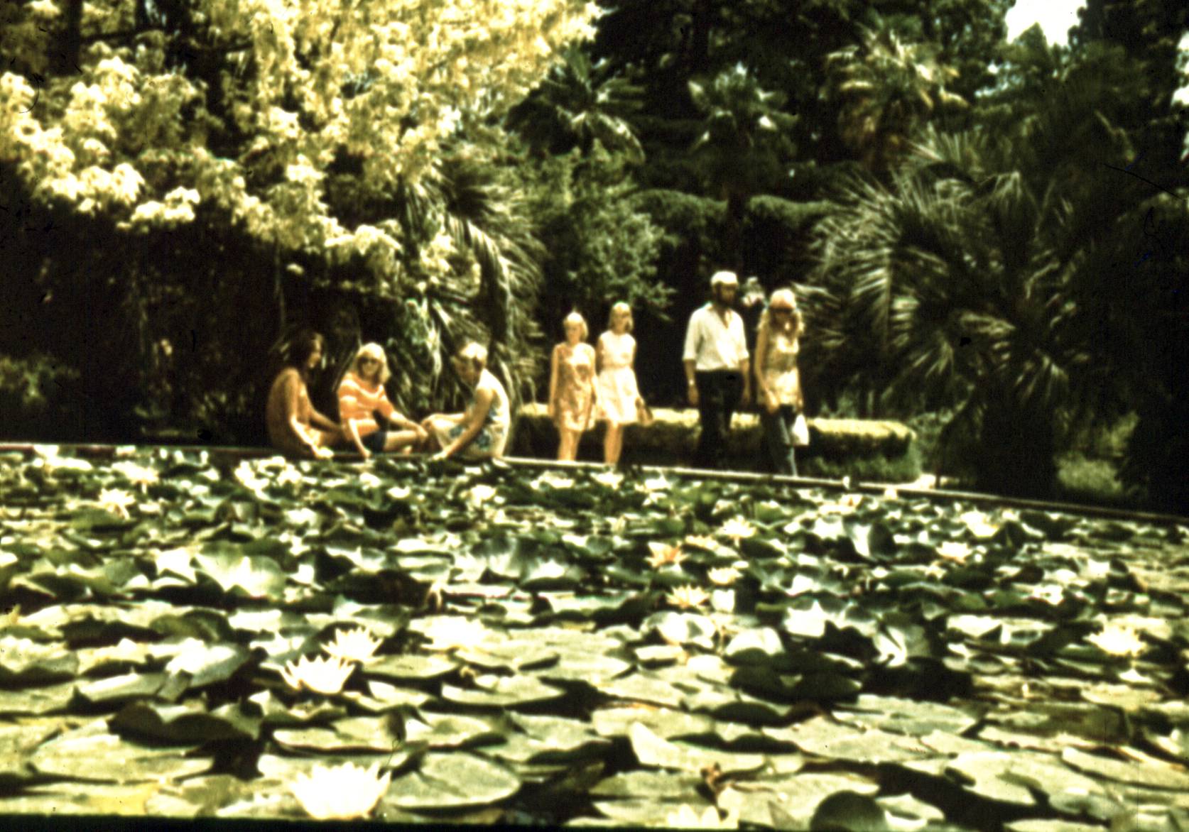 052-1.jpg