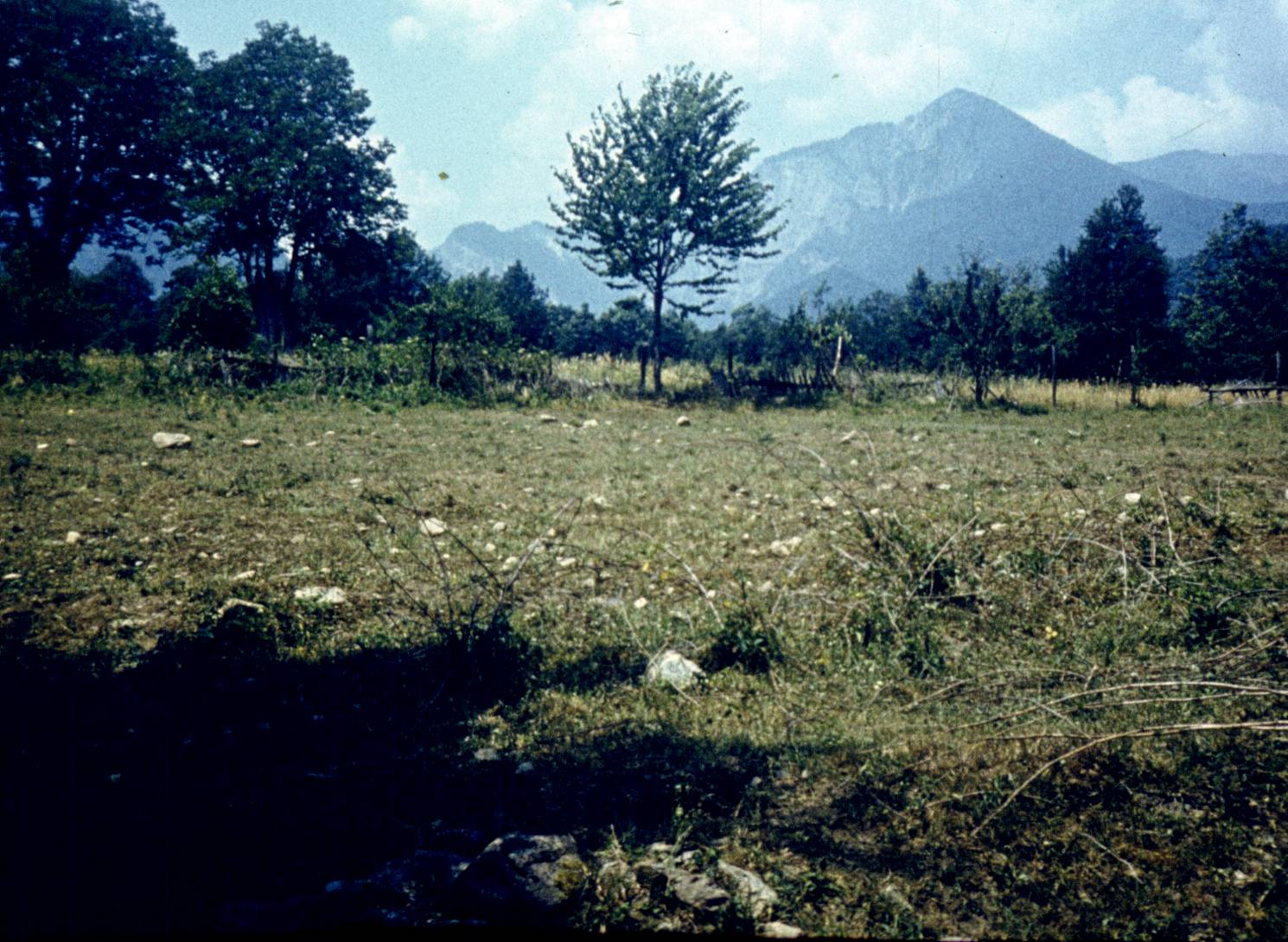 112.jpg