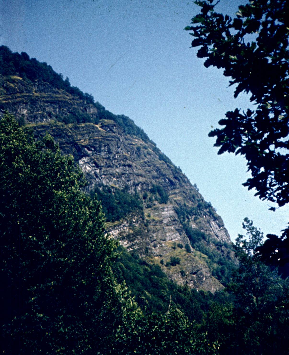 114.jpg