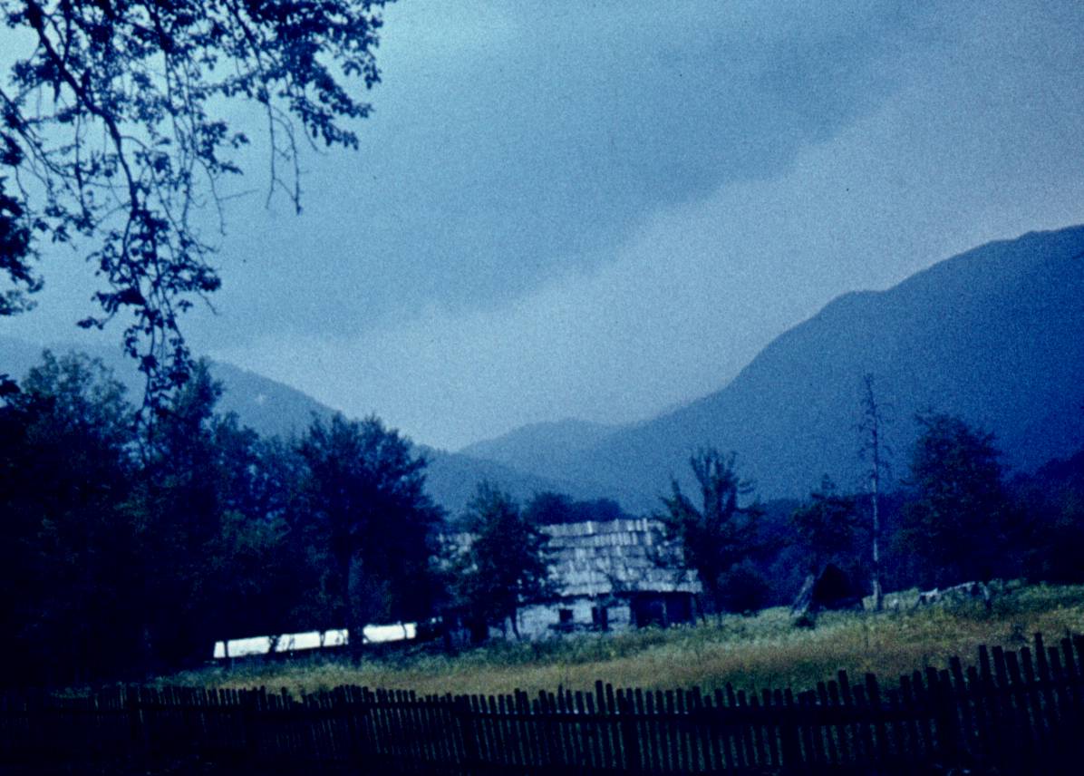 120.jpg
