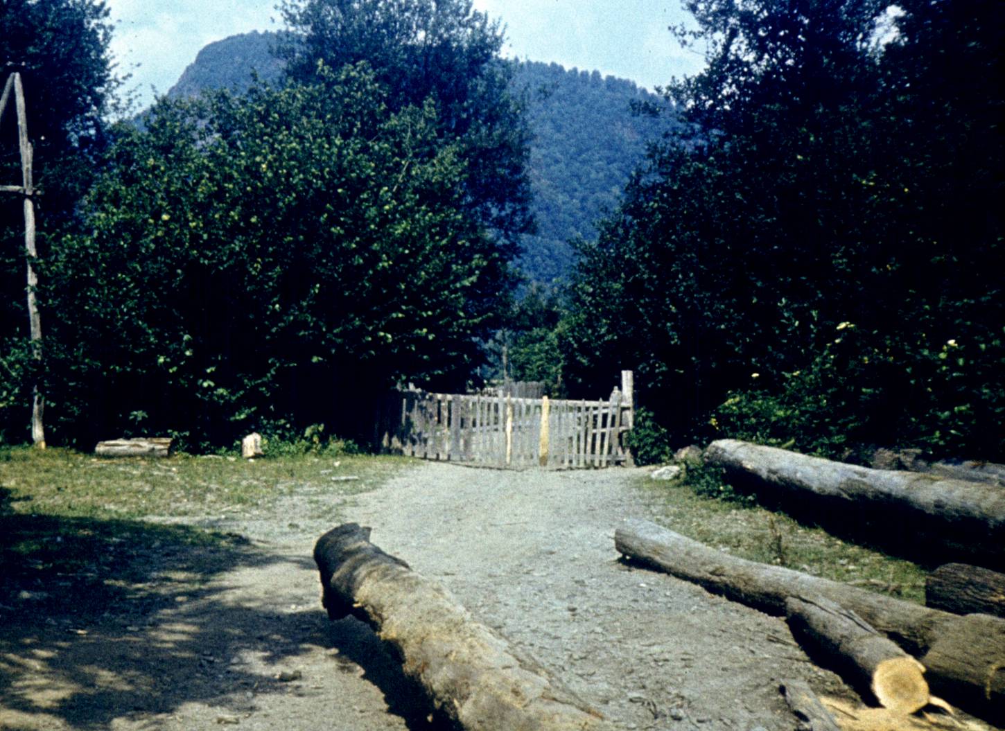 122-1.jpg