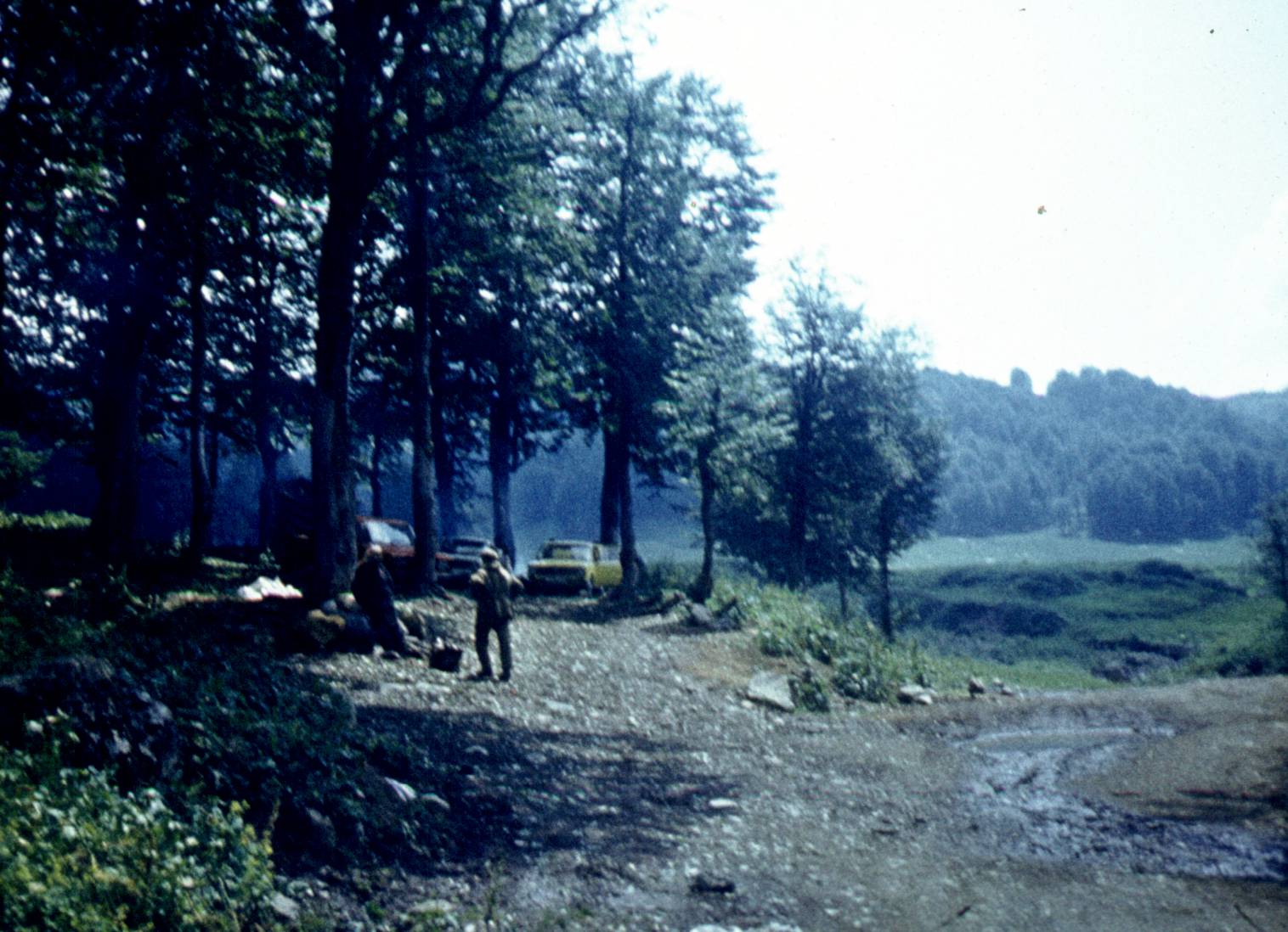 132.jpg