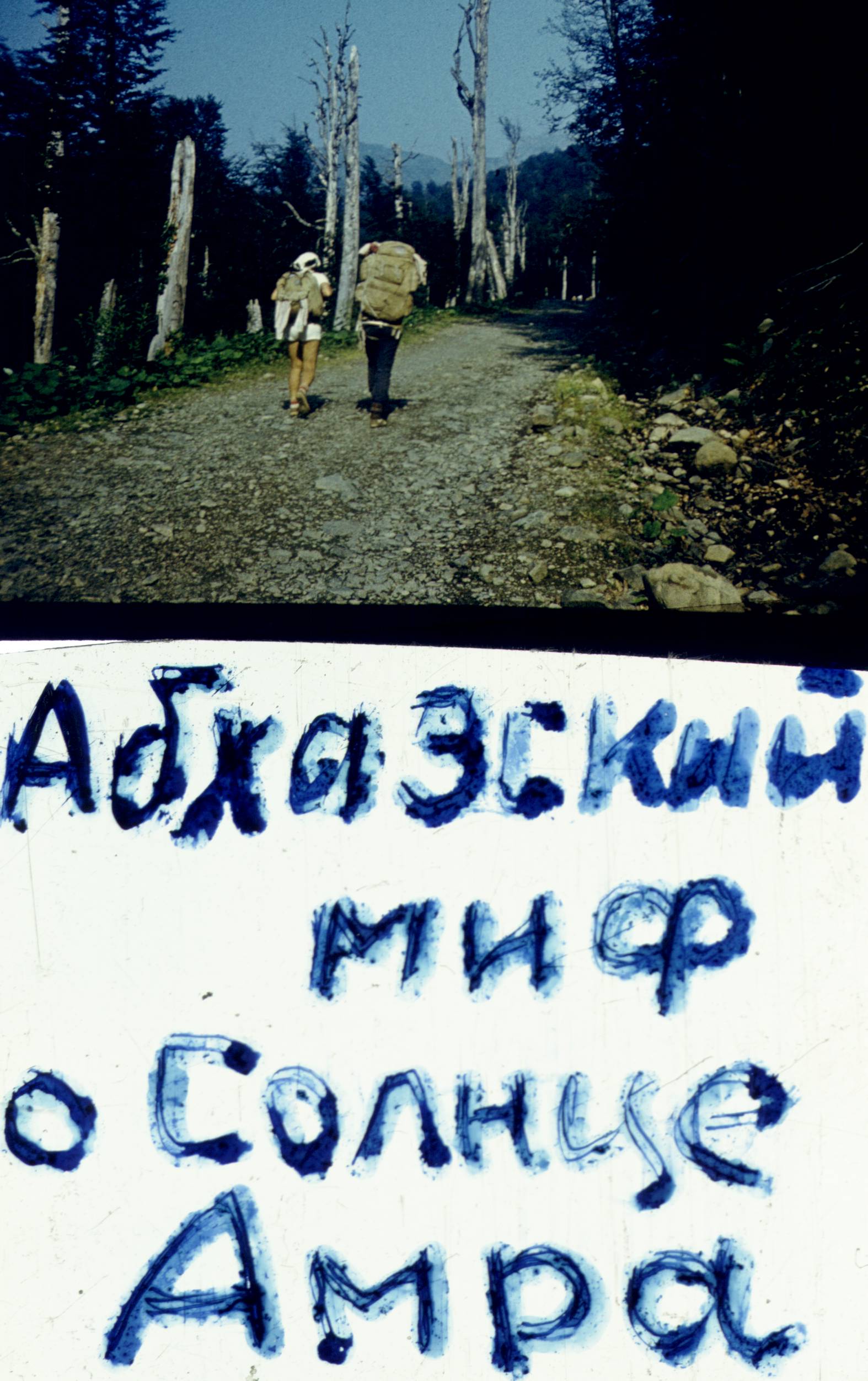 133.jpg