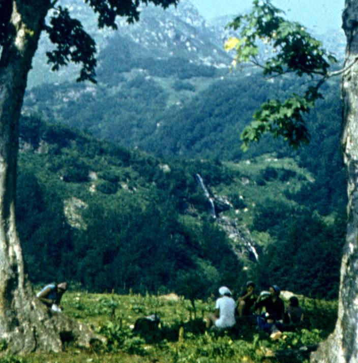 134-1.jpg