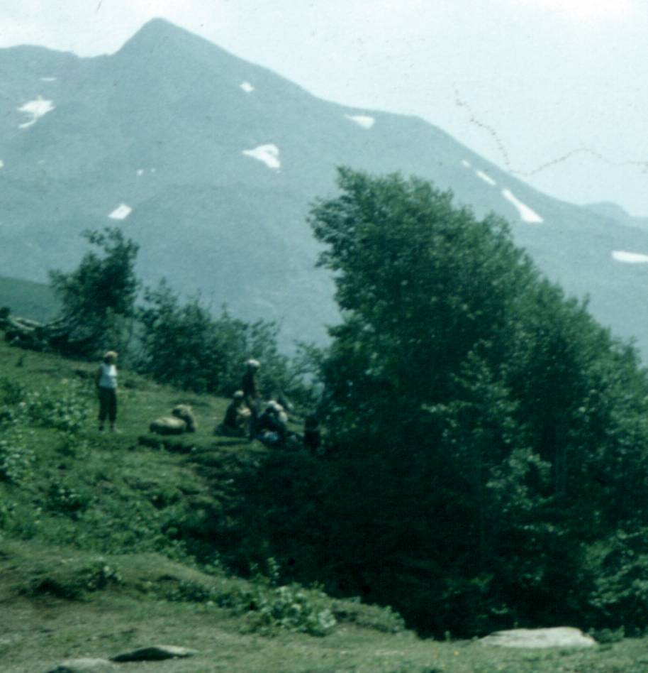 142-1.jpg