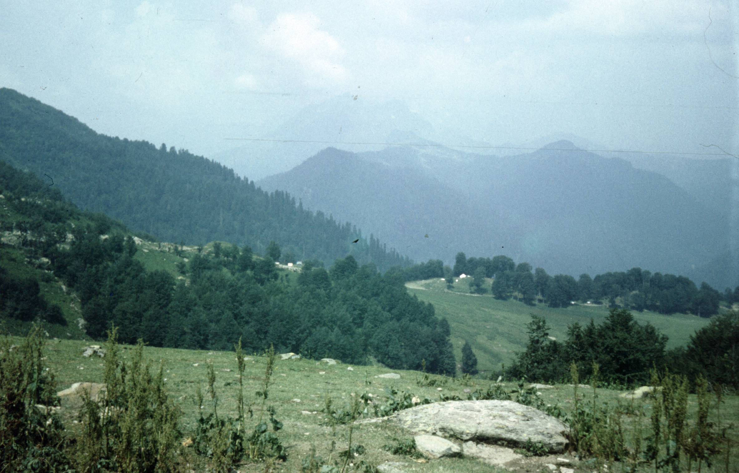 145.jpg