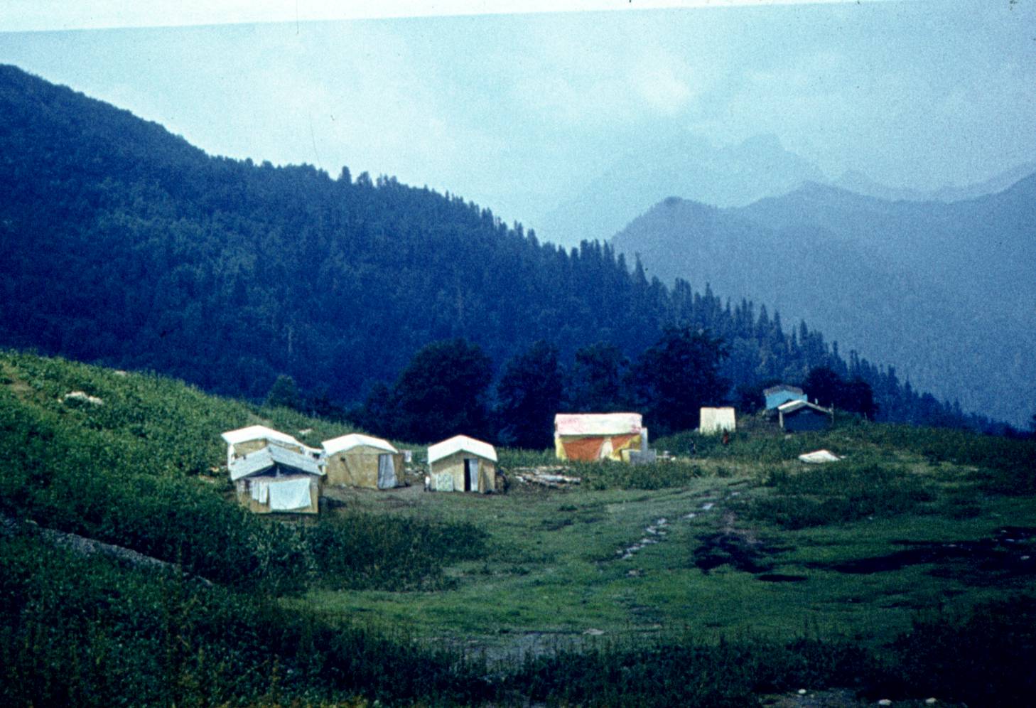 147.jpg