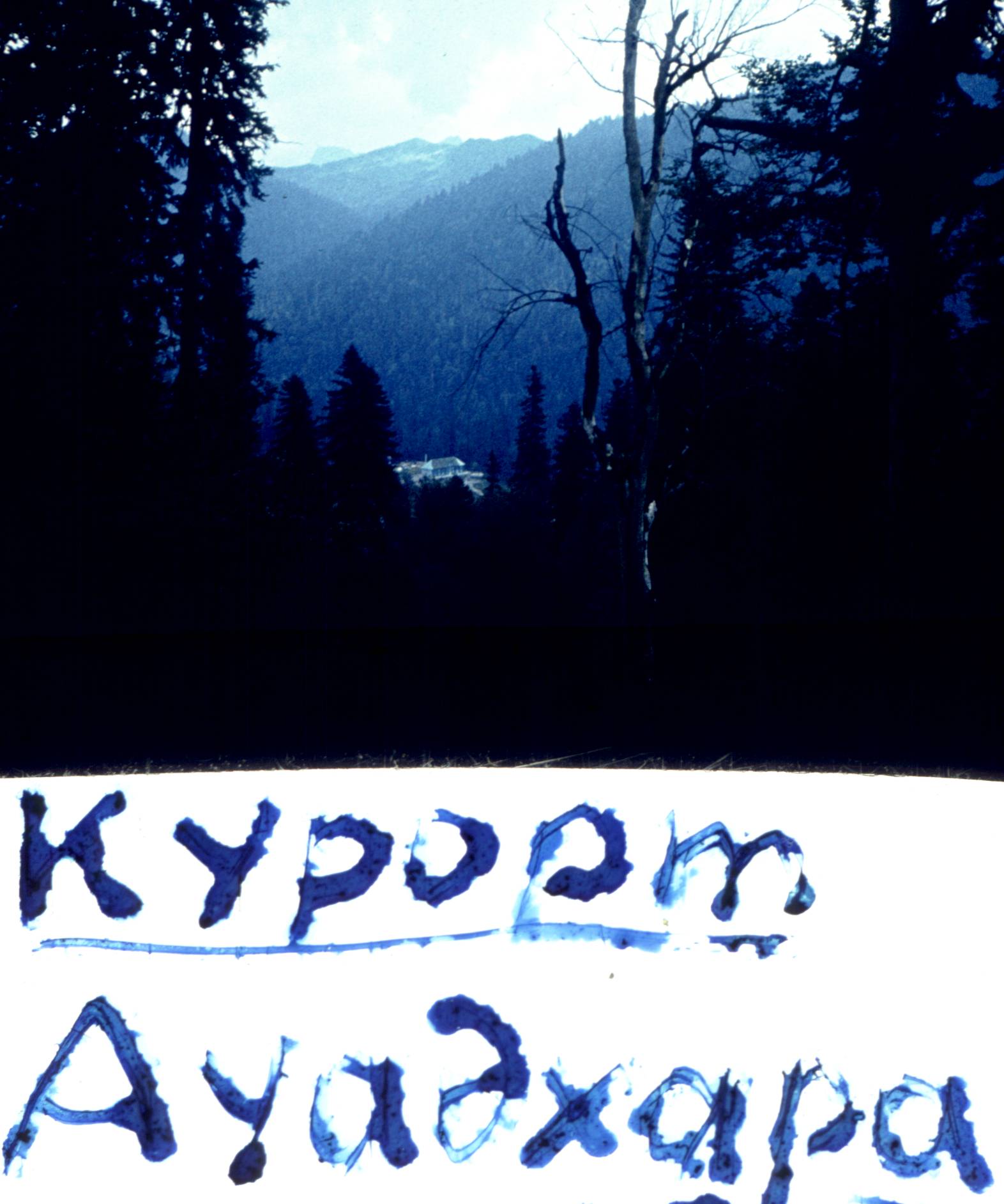 154.jpg