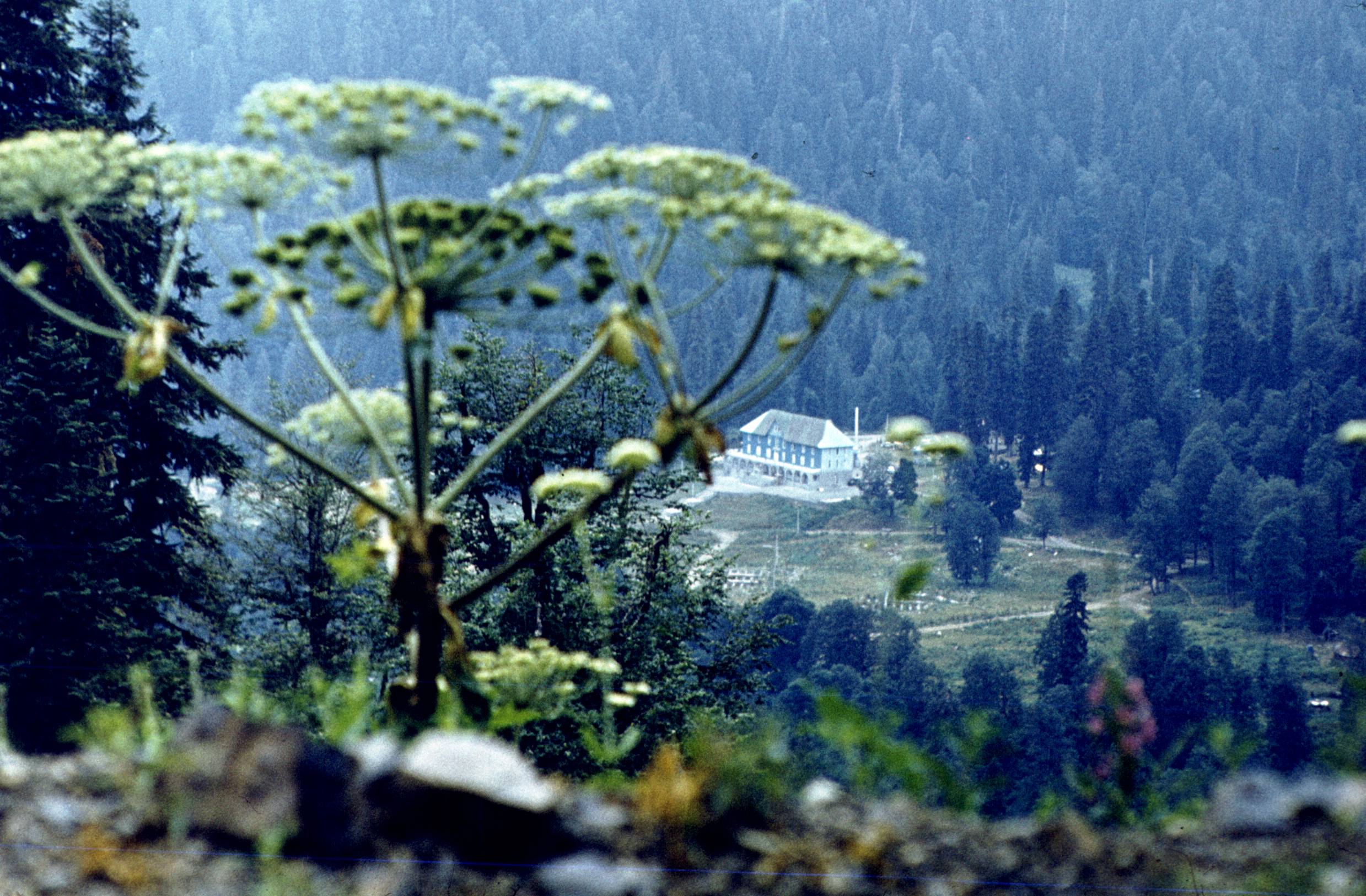 155.jpg