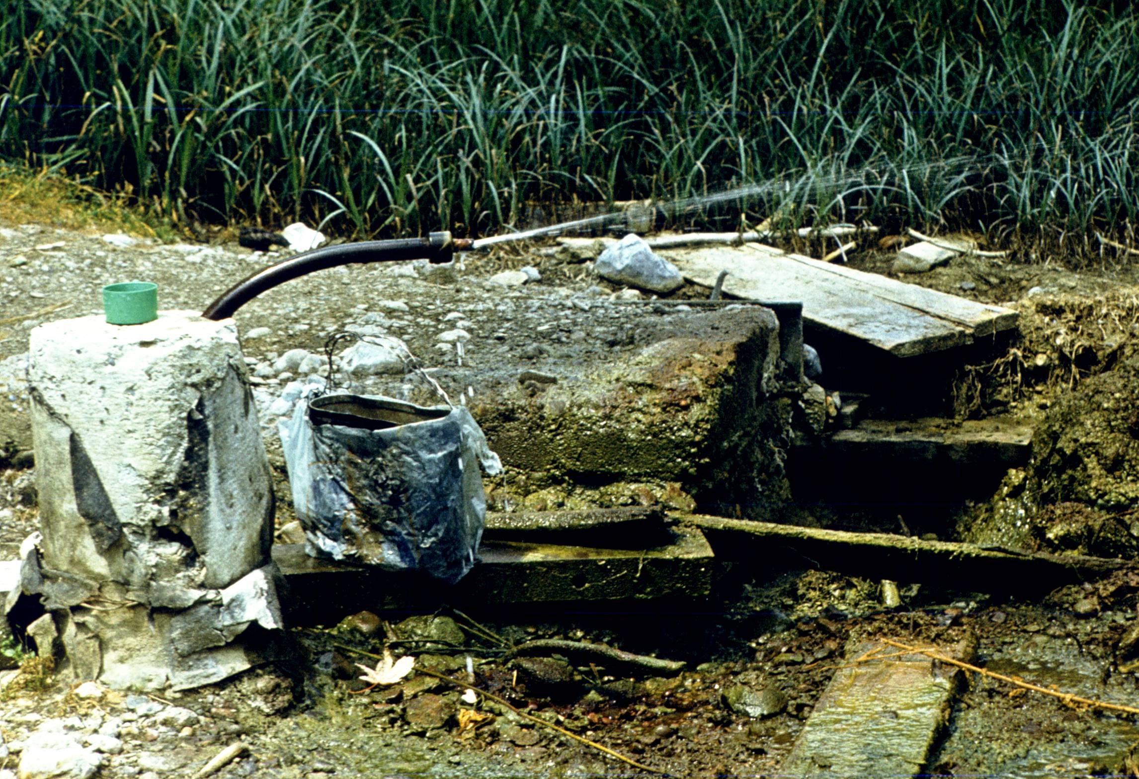 156.jpg