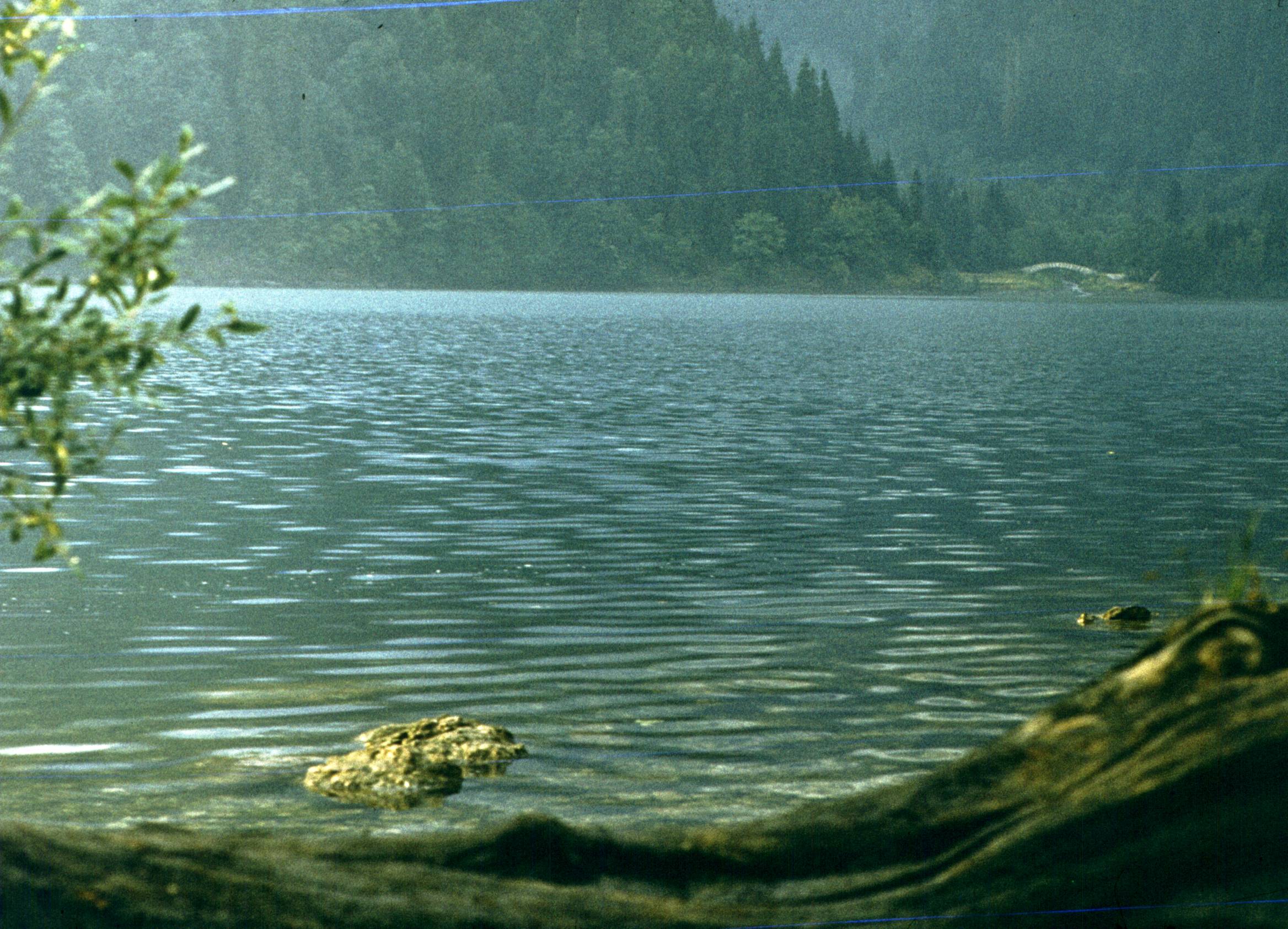 171.jpg