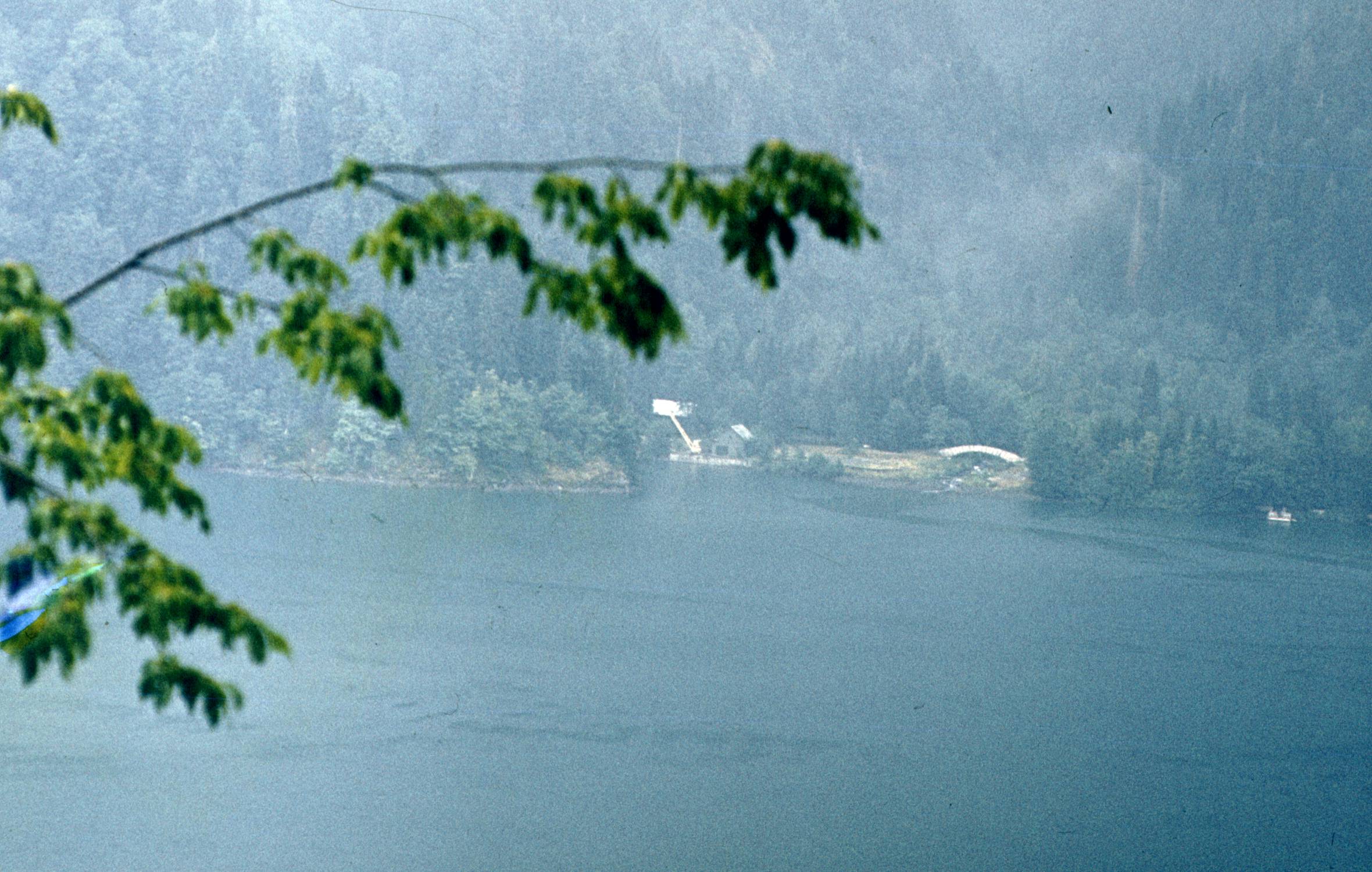 176.jpg