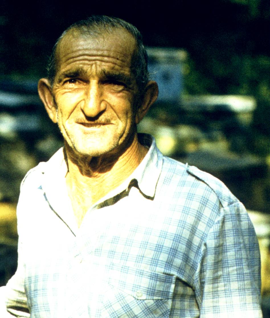 179-1.jpg