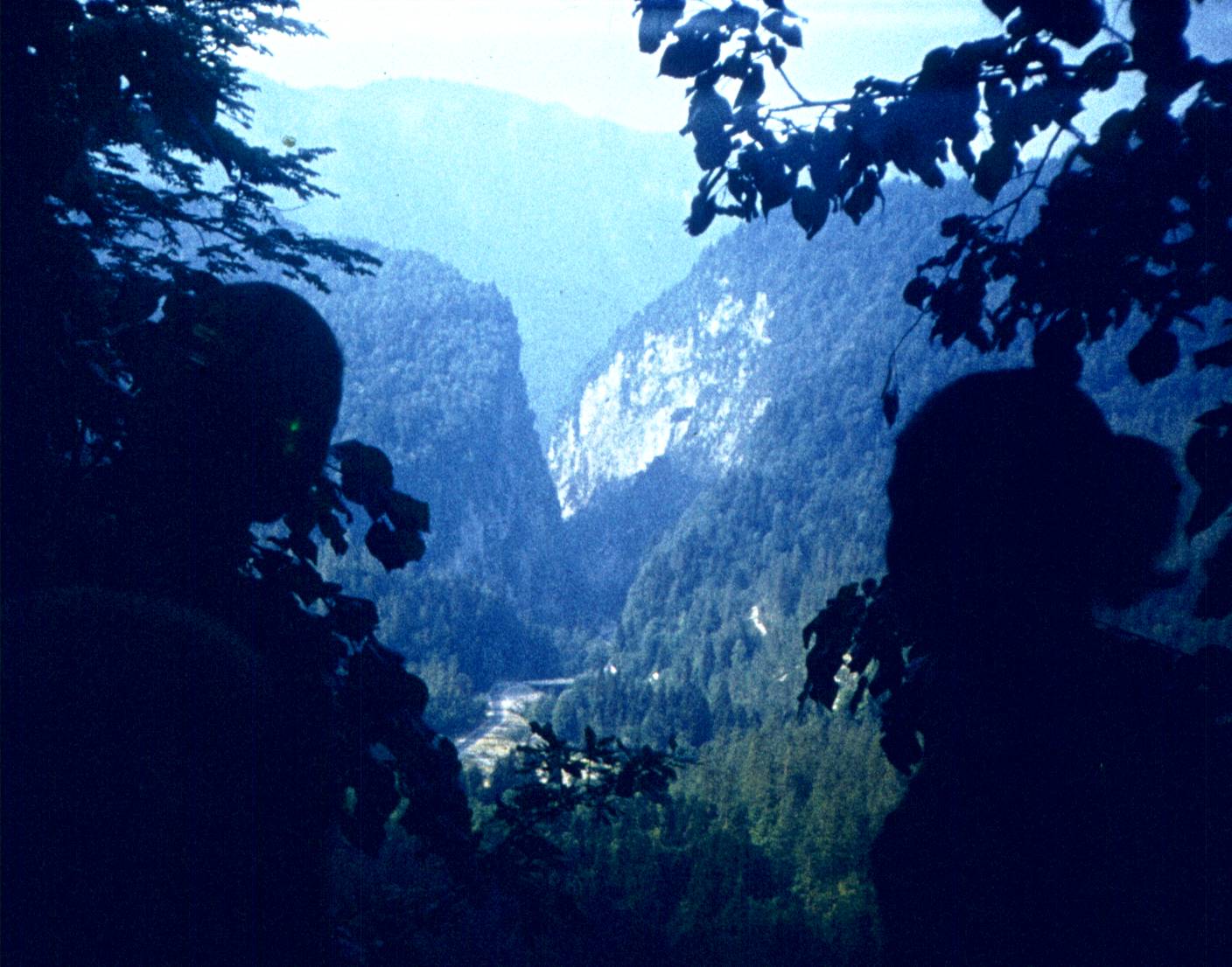 180-1.jpg