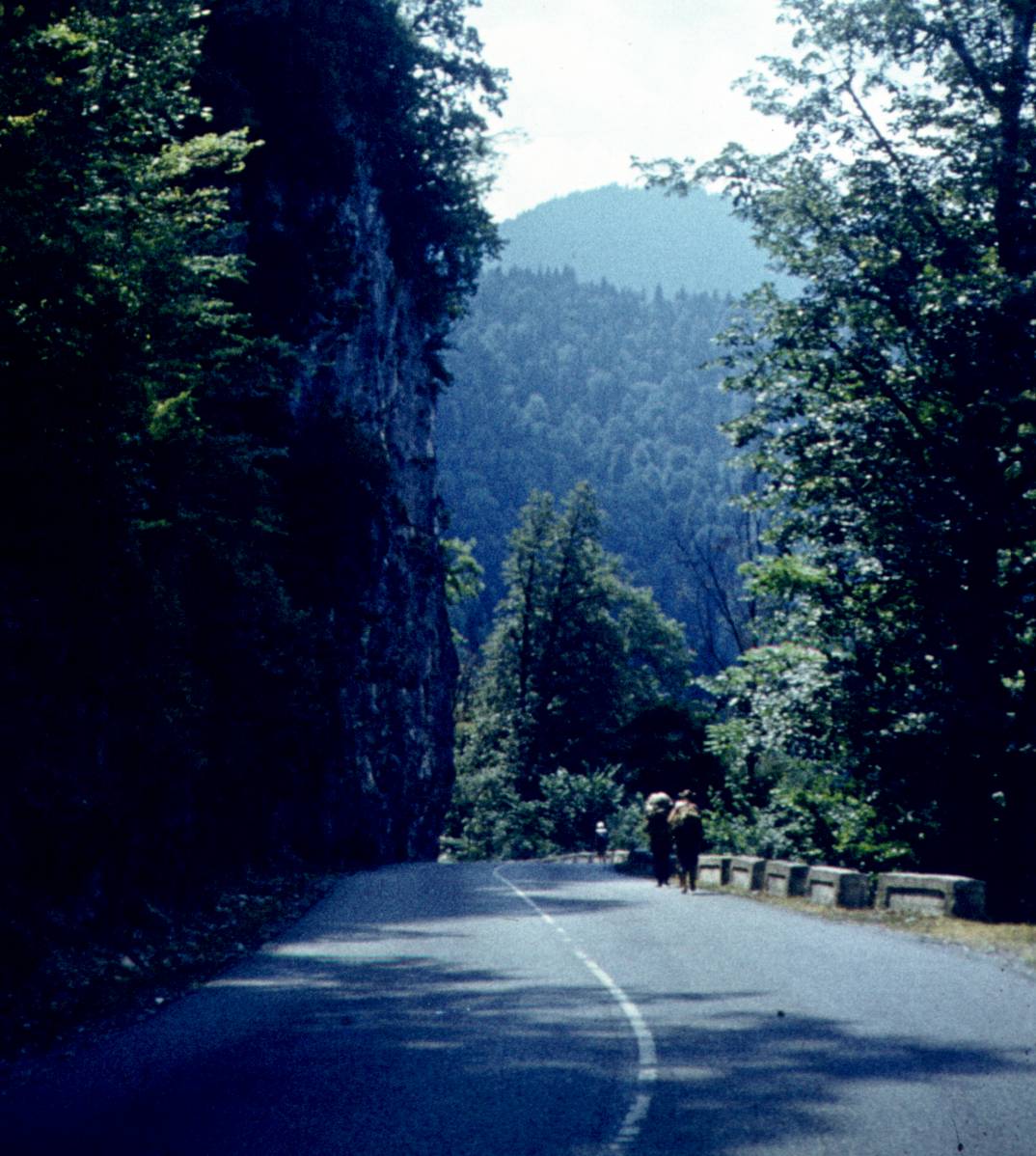 183-1.jpg