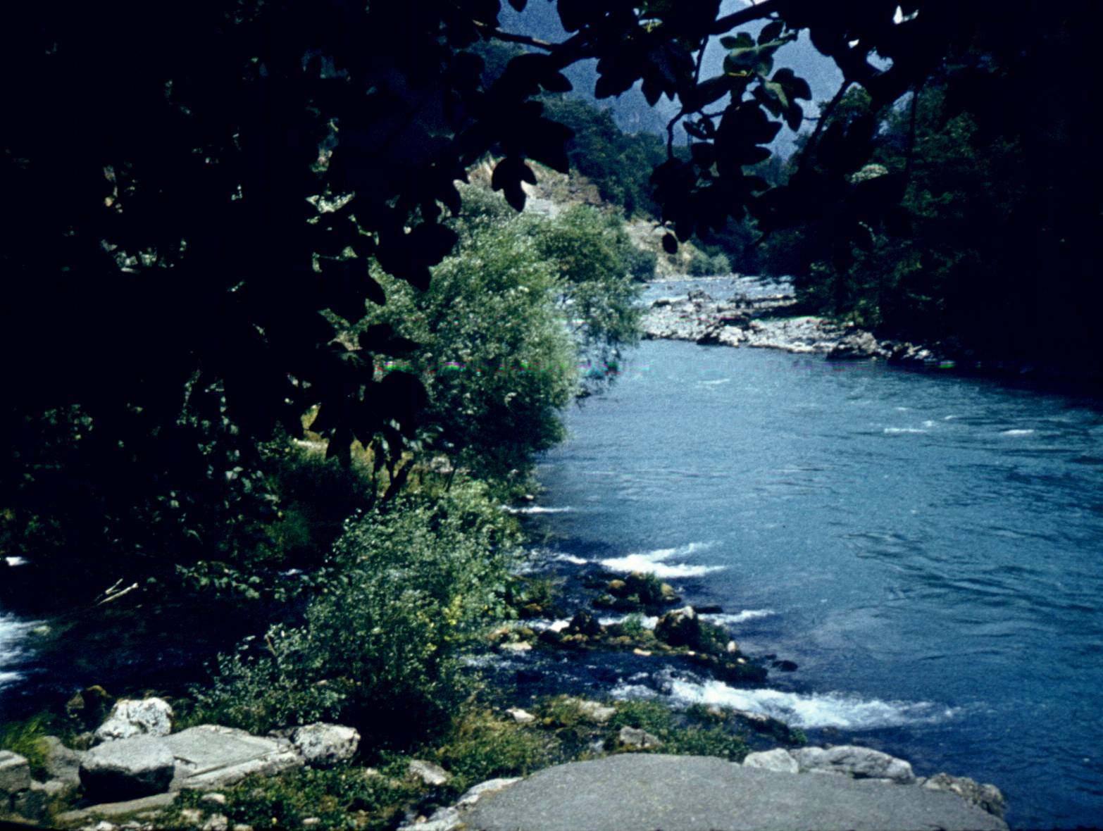 192-2.jpg