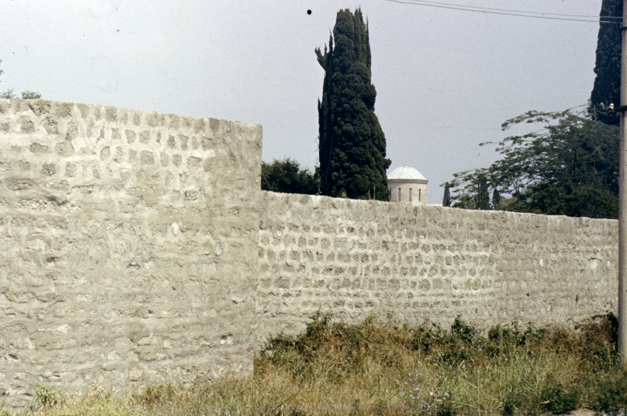 201.jpg