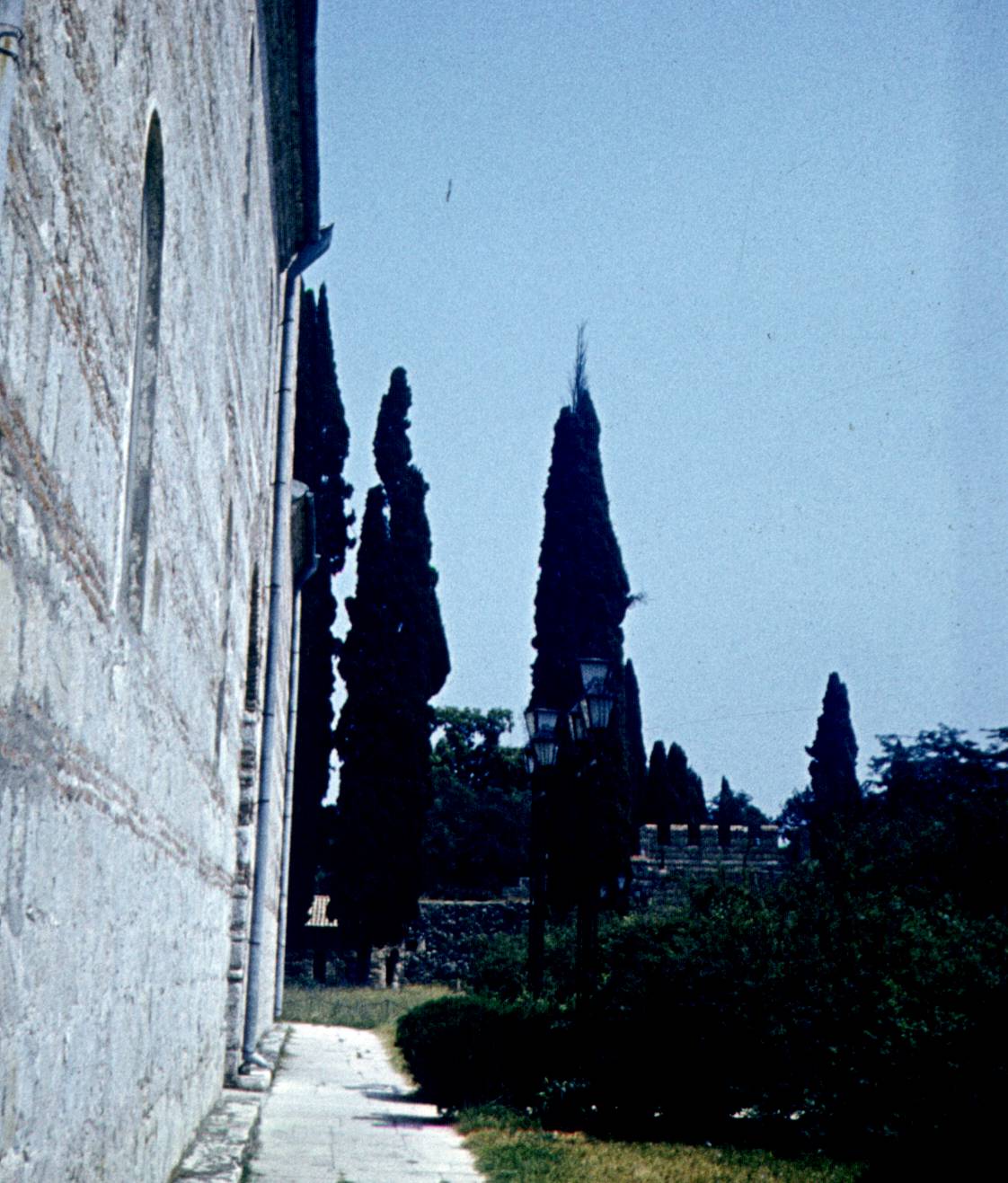 210.jpg