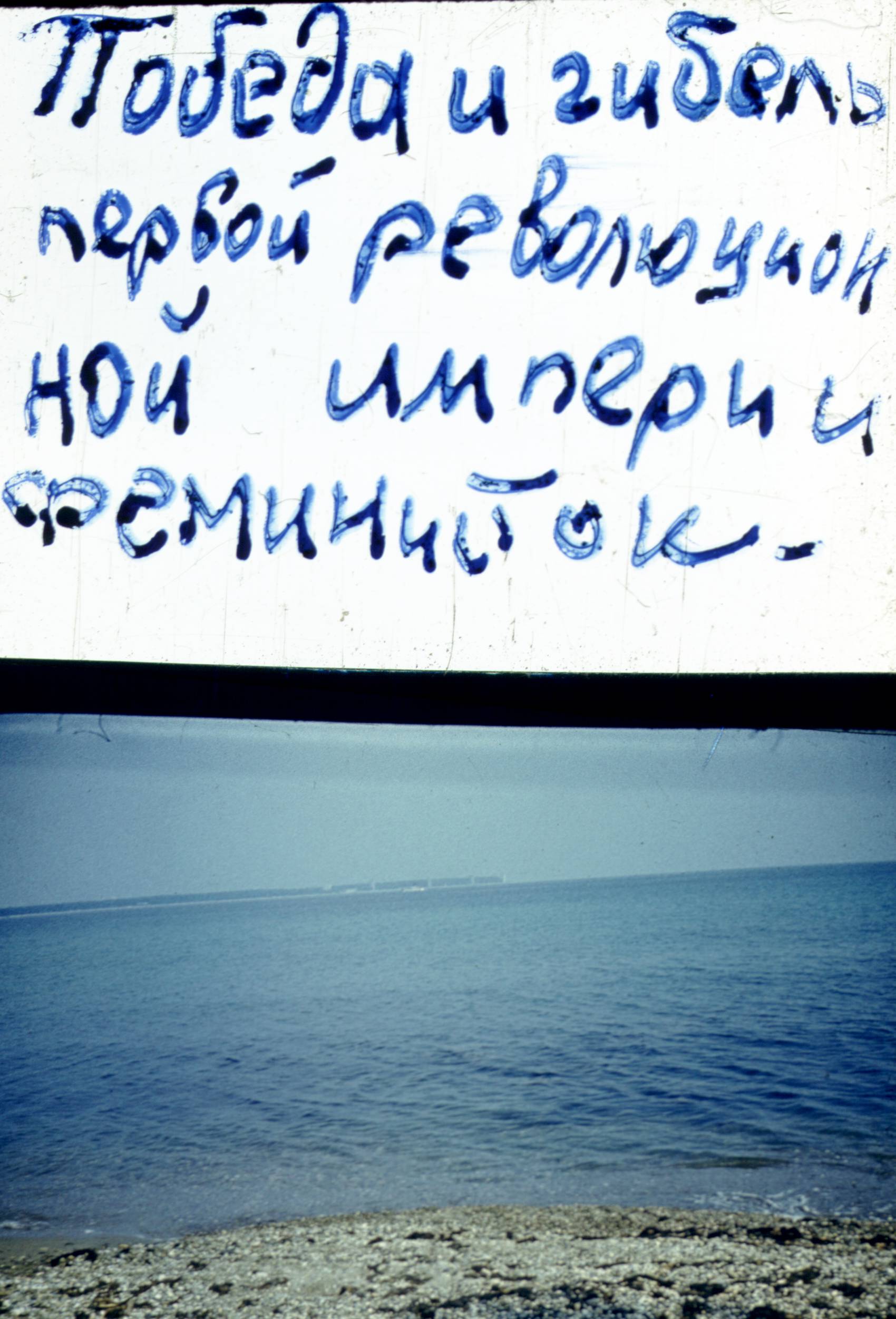 235.jpg