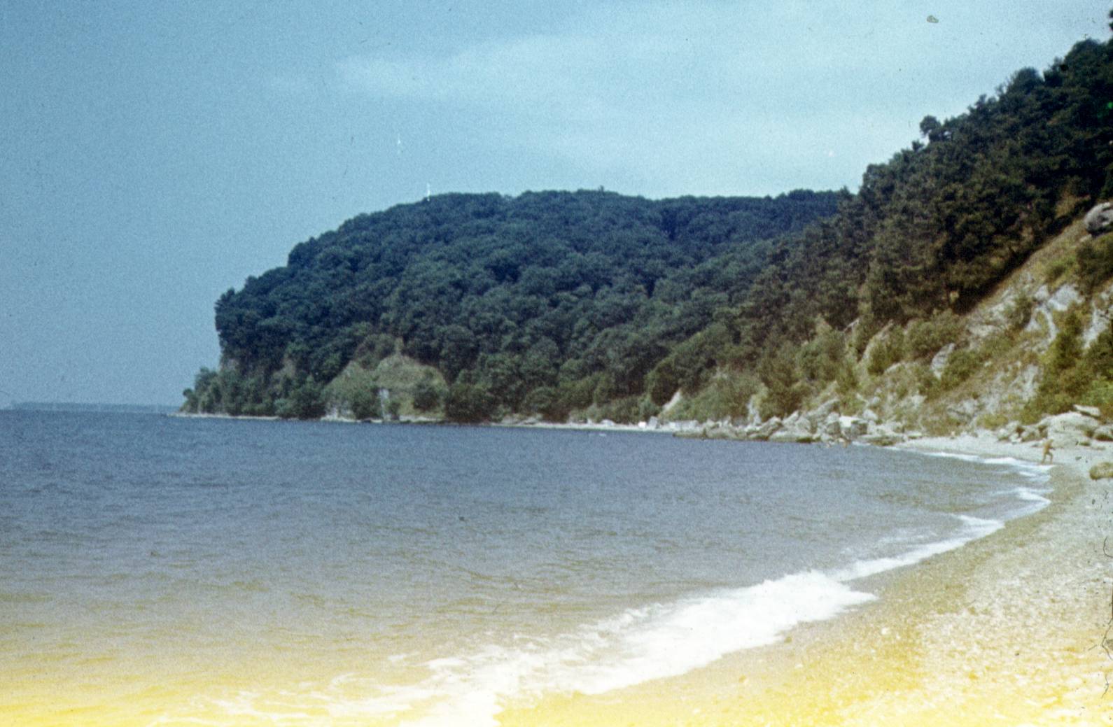 240.jpg