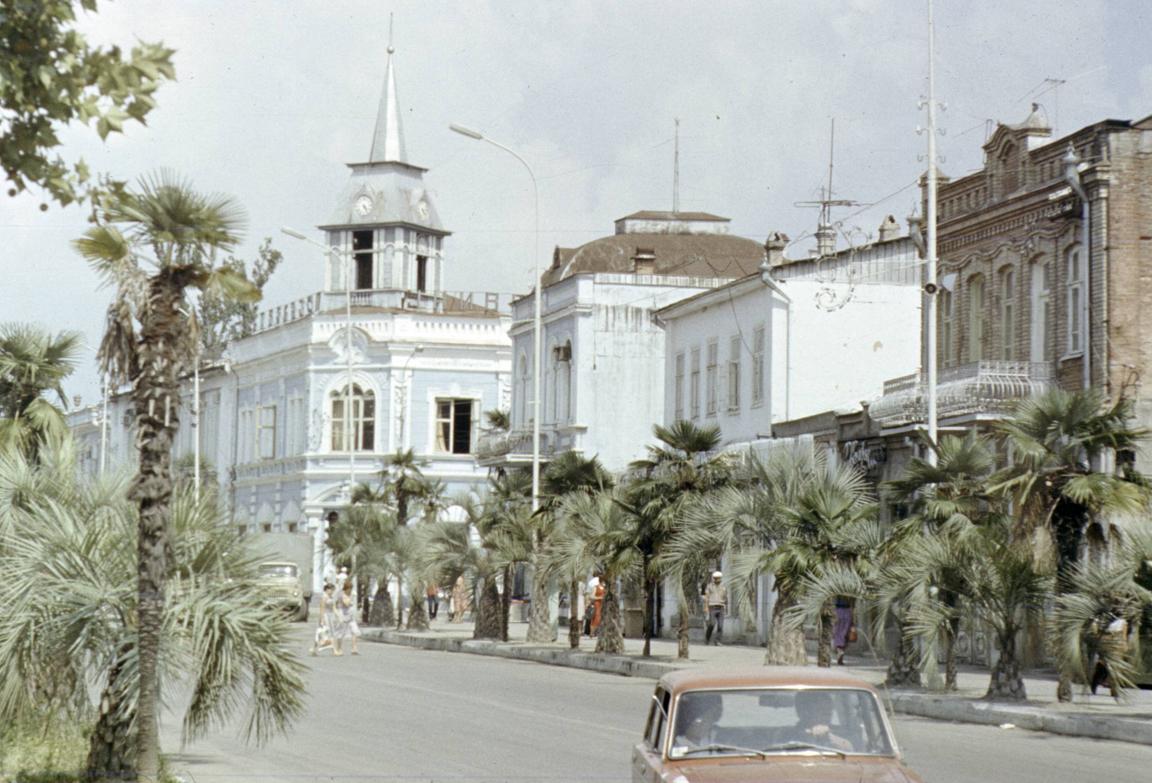 258.jpg
