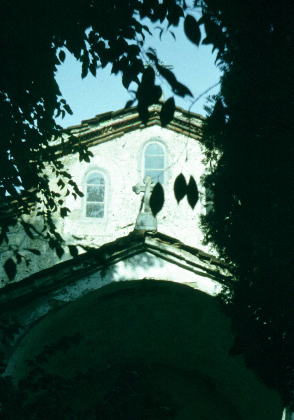 265.jpg