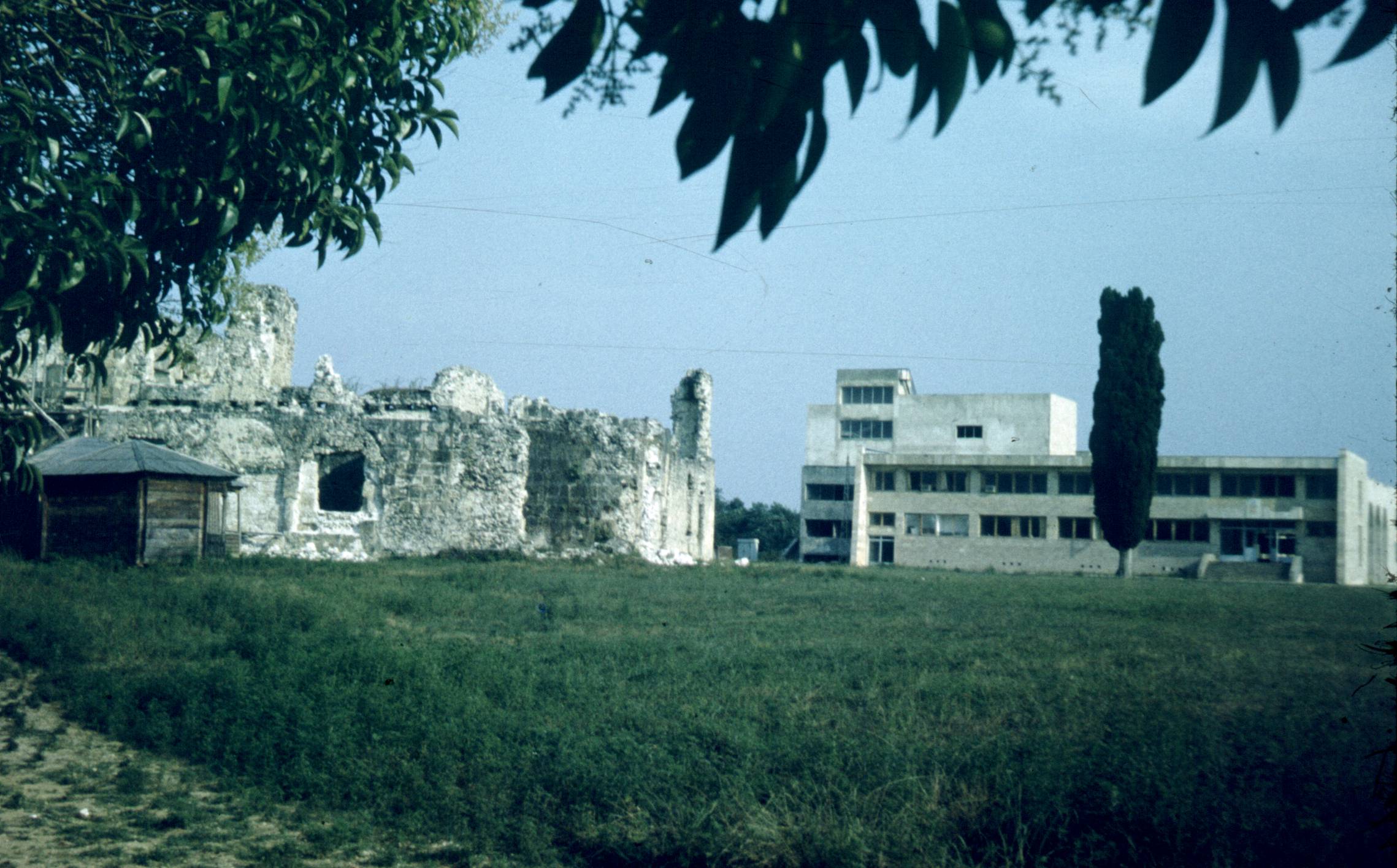281.jpg