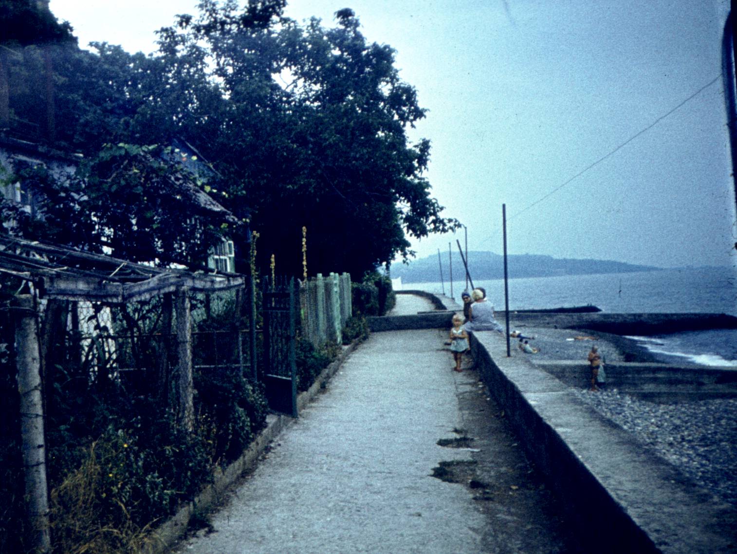 299-1.jpg