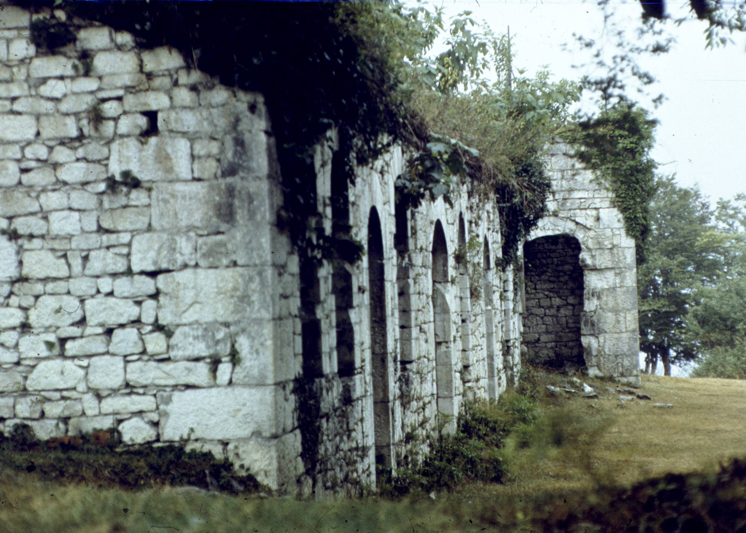 315.jpg
