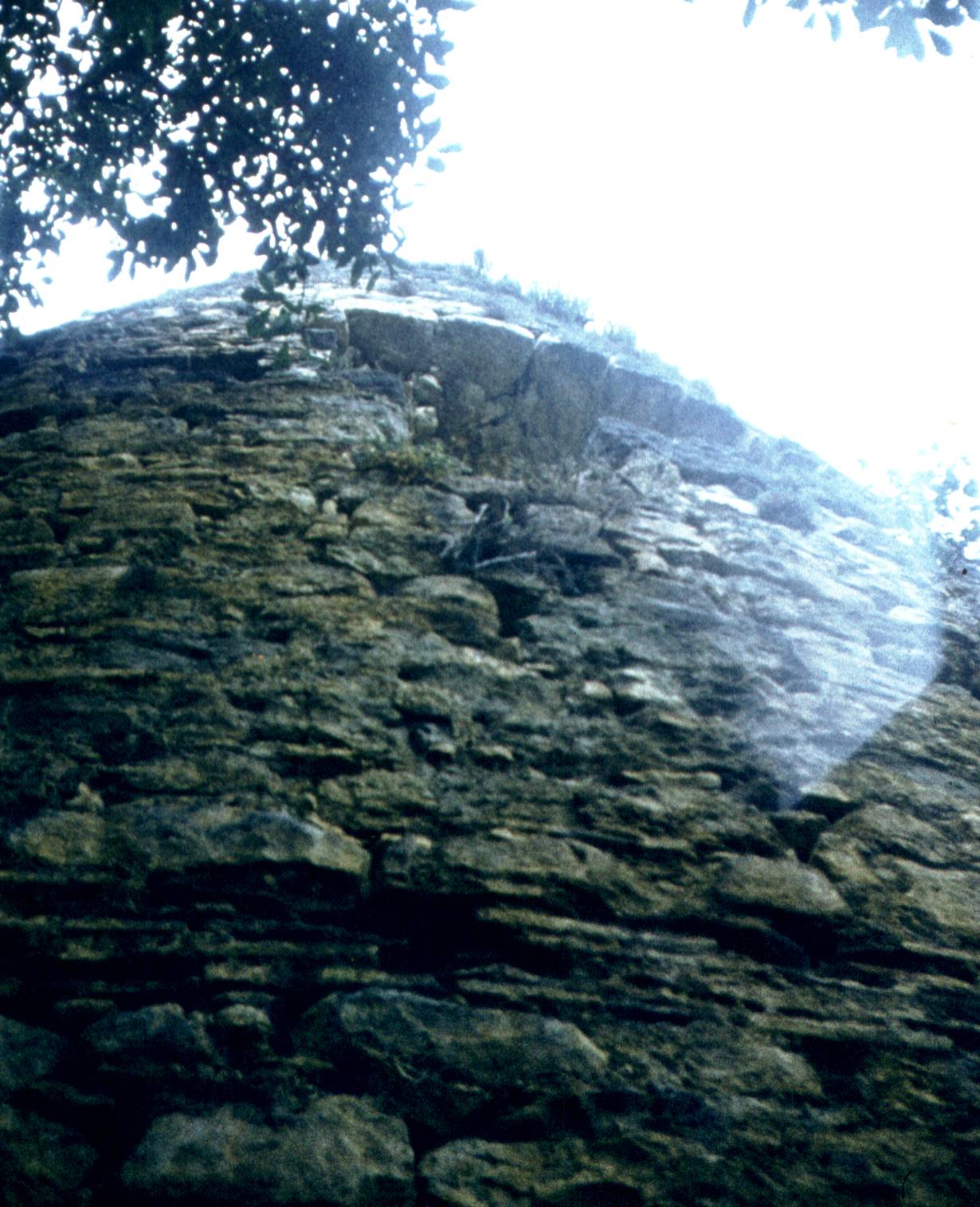 317.jpg