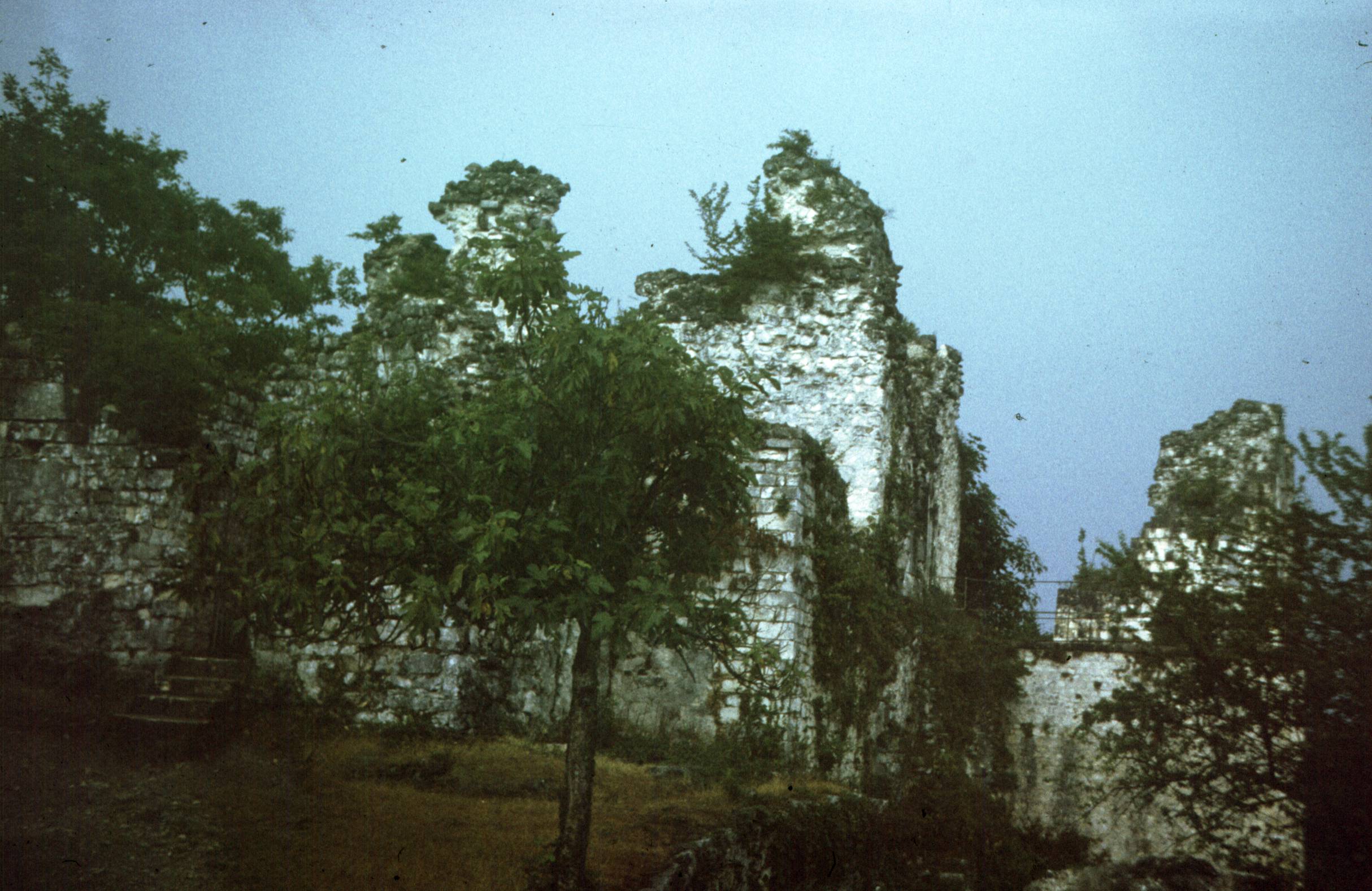 319.jpg
