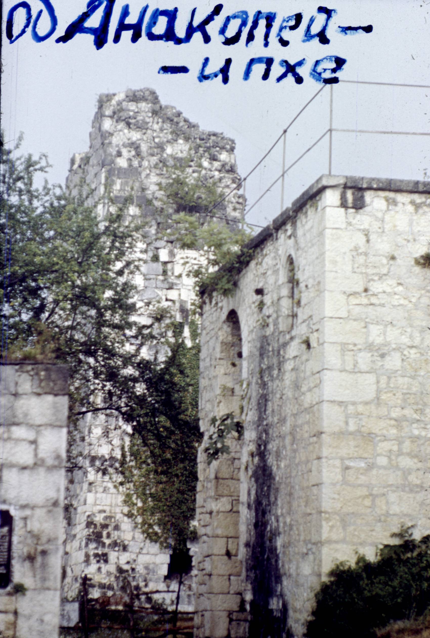 329.jpg