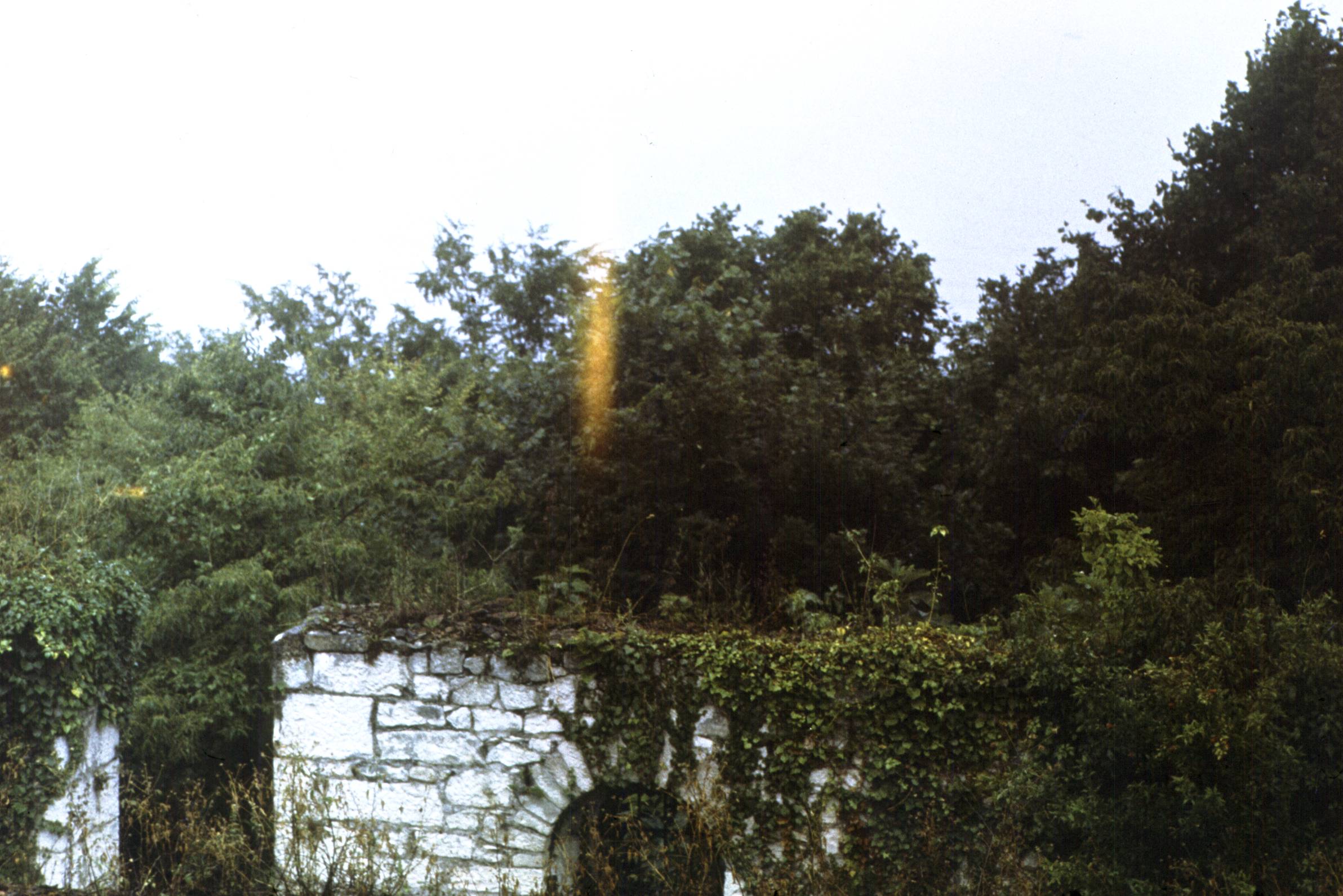 335.jpg