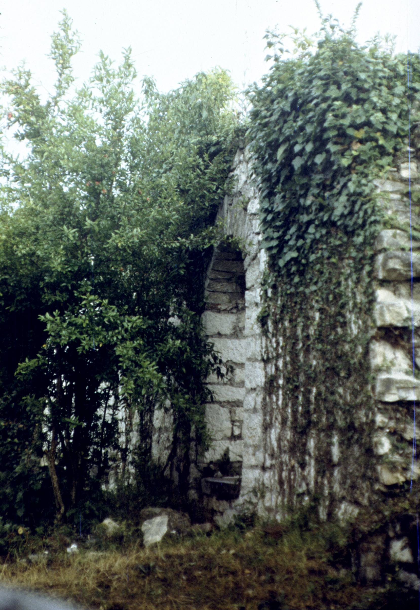 336.jpg