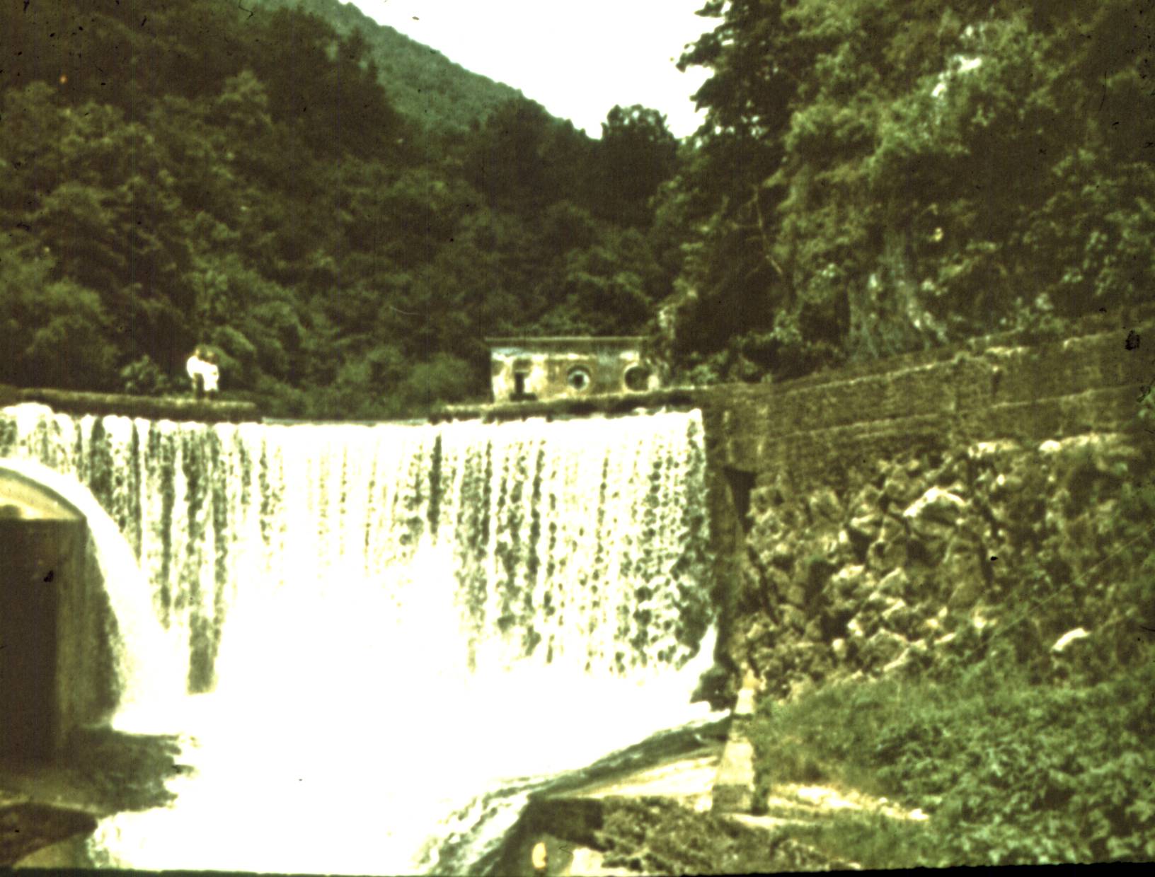 346.jpg