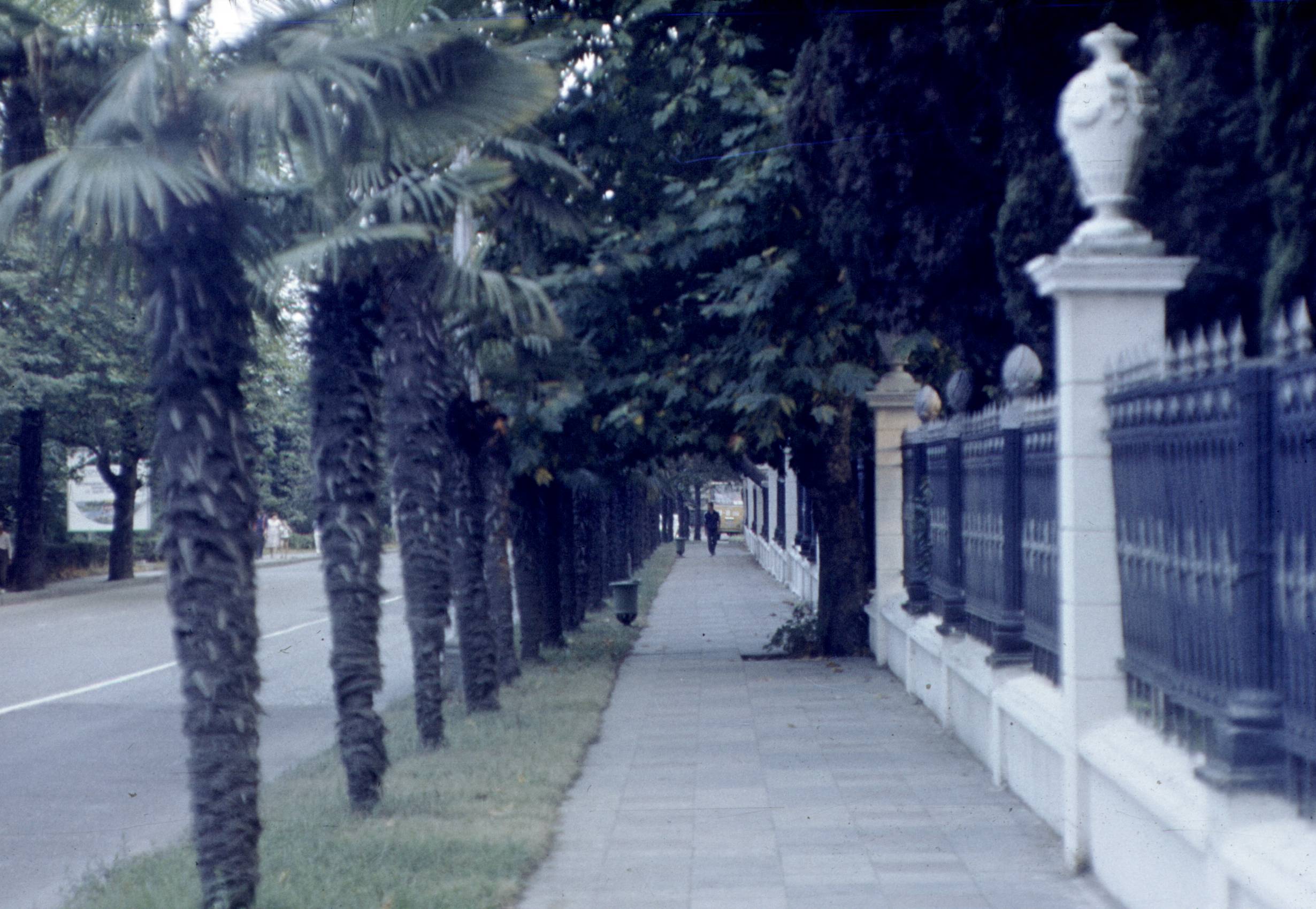 367.jpg