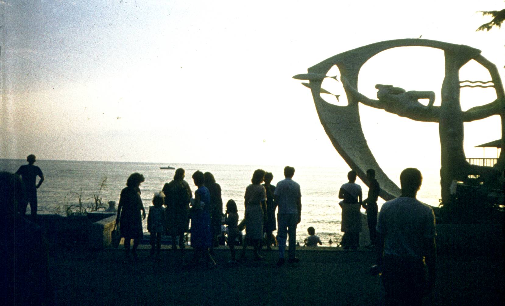 372.jpg