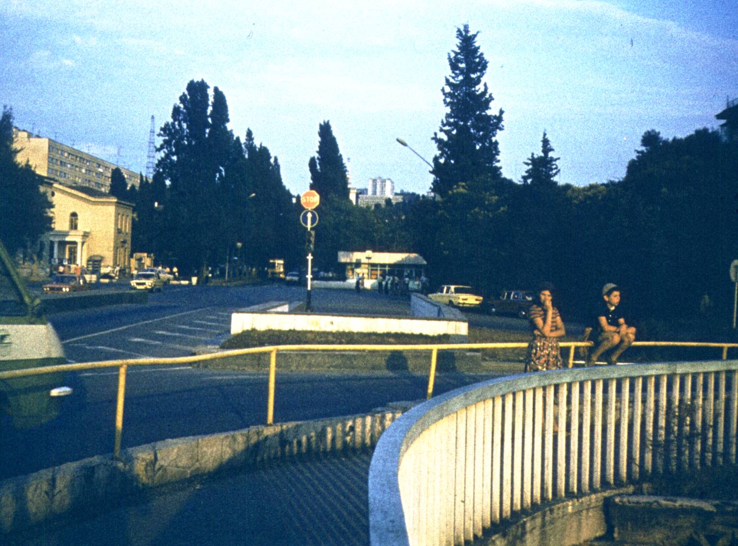 376.jpg