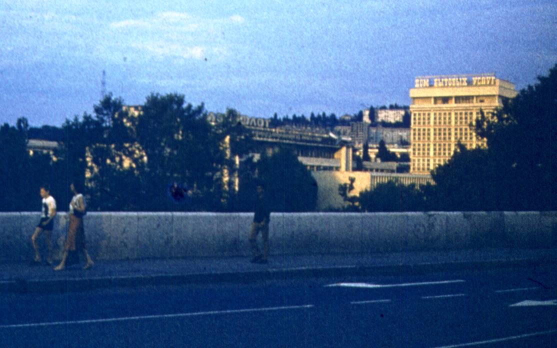 379.jpg