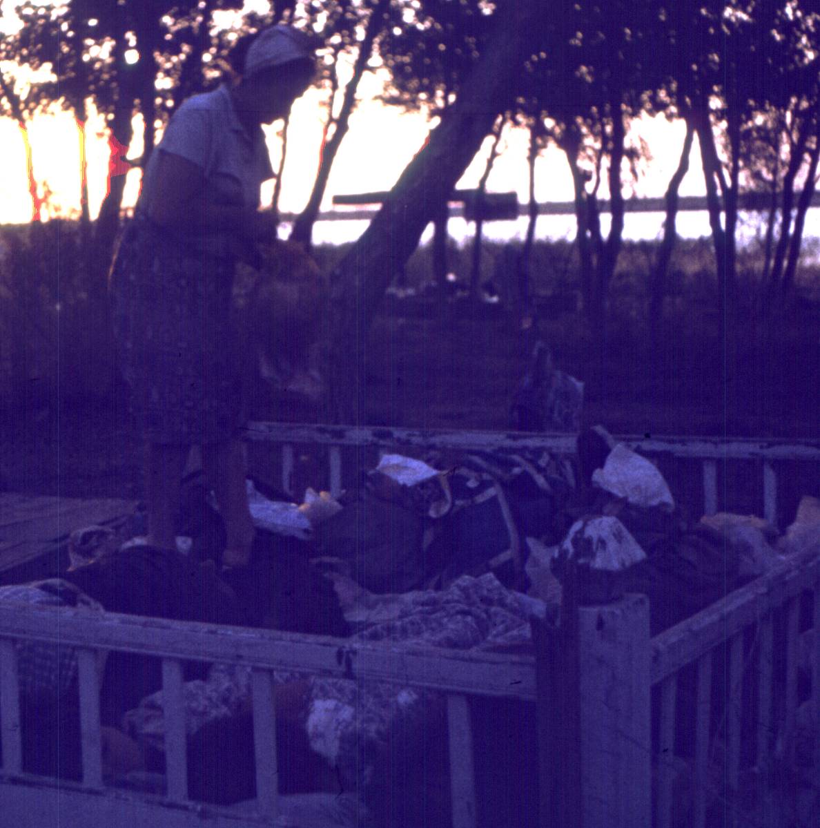 022-1.jpg