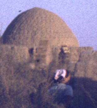 041-1.jpg