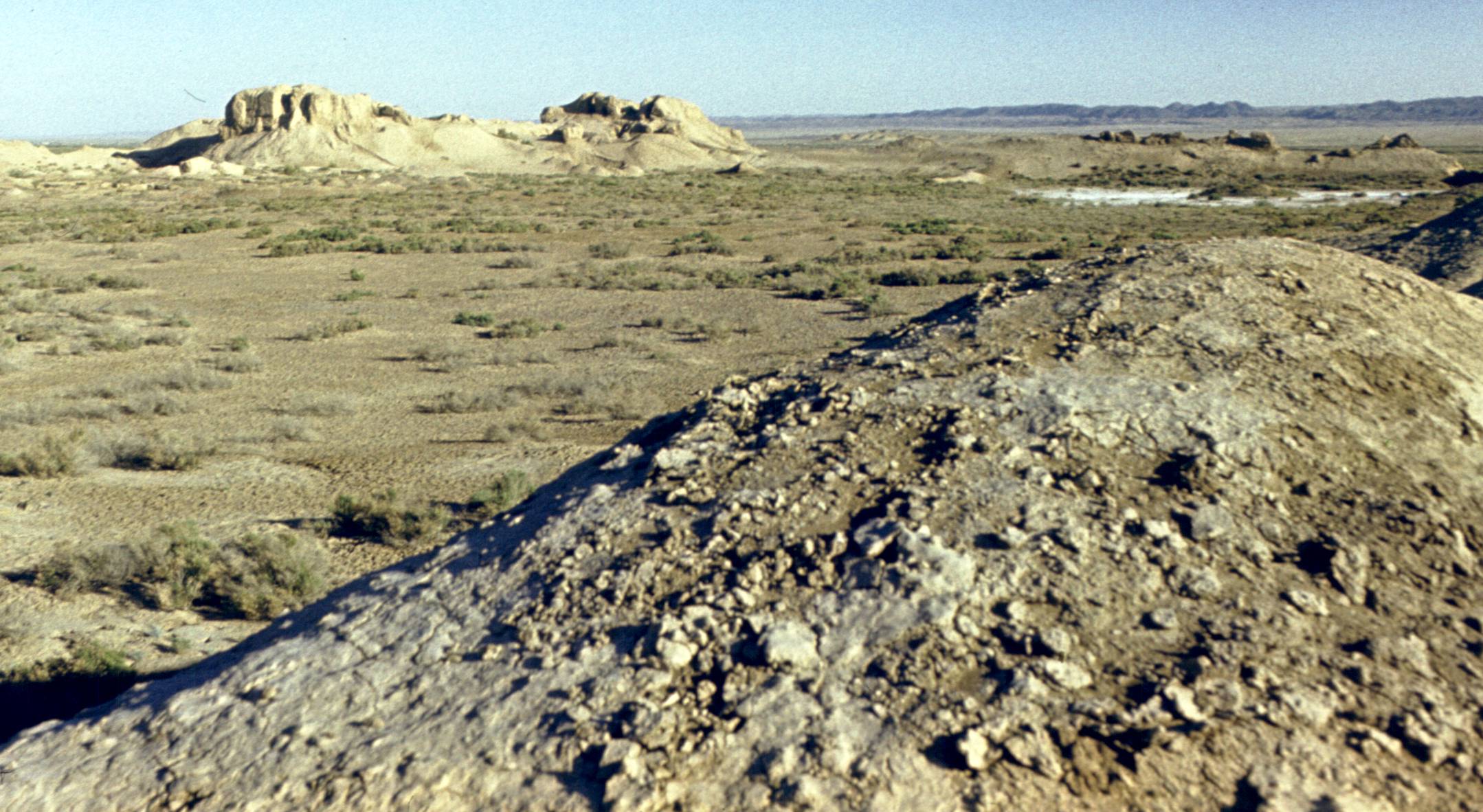 117.jpg