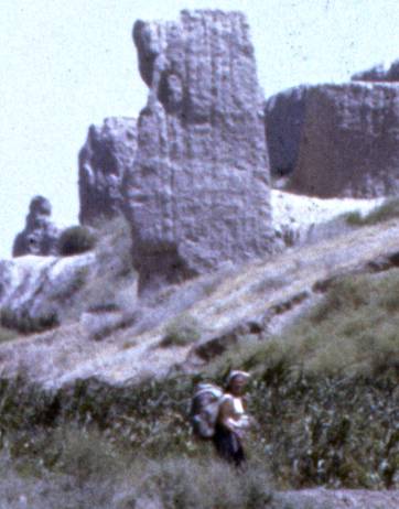 157-1.jpg