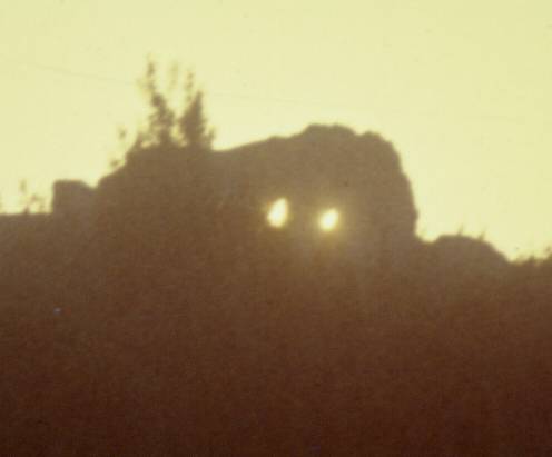 174-1.jpg